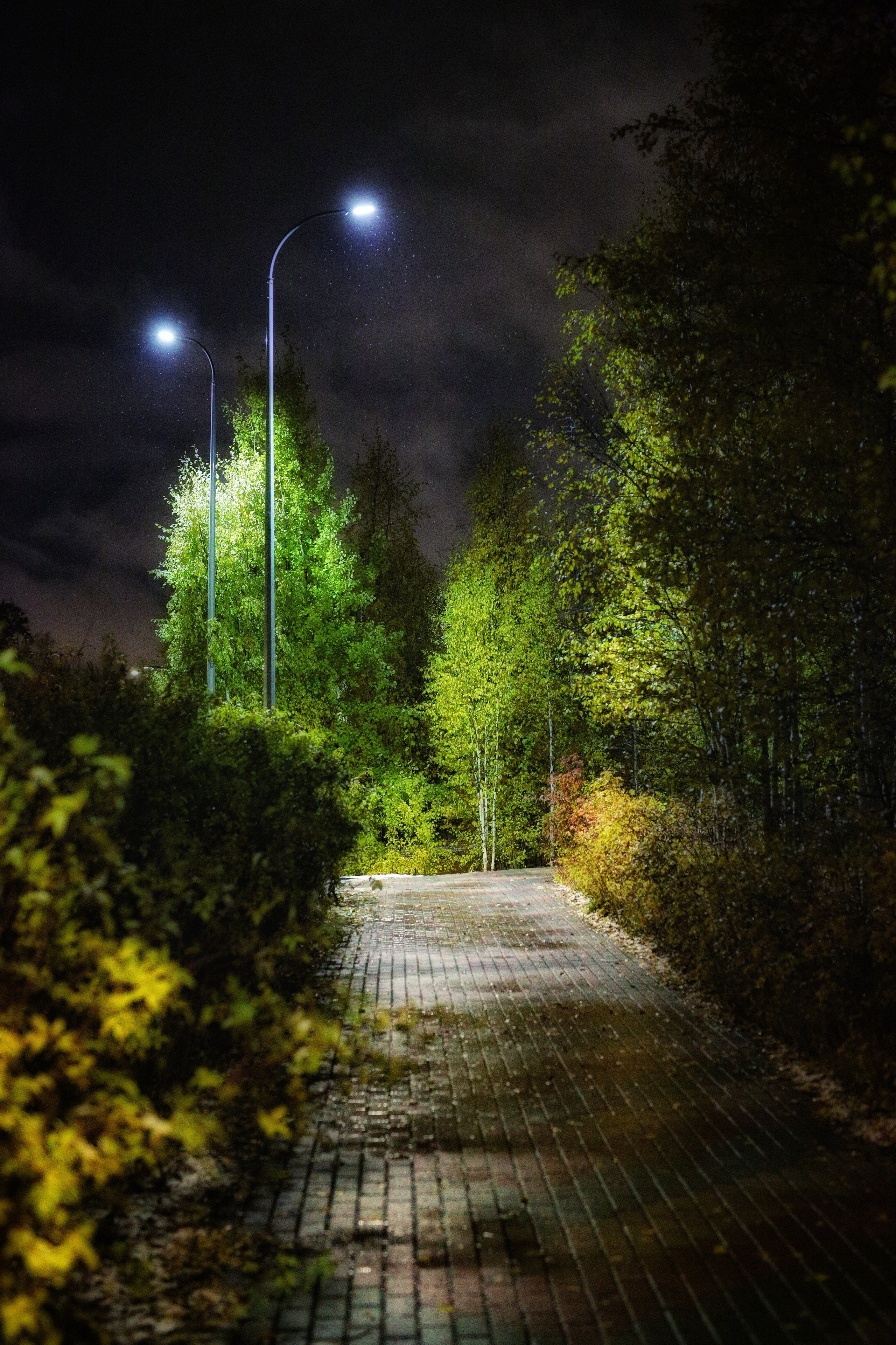 Сургут. Фотограф в г. Сургуте Марина Киприна