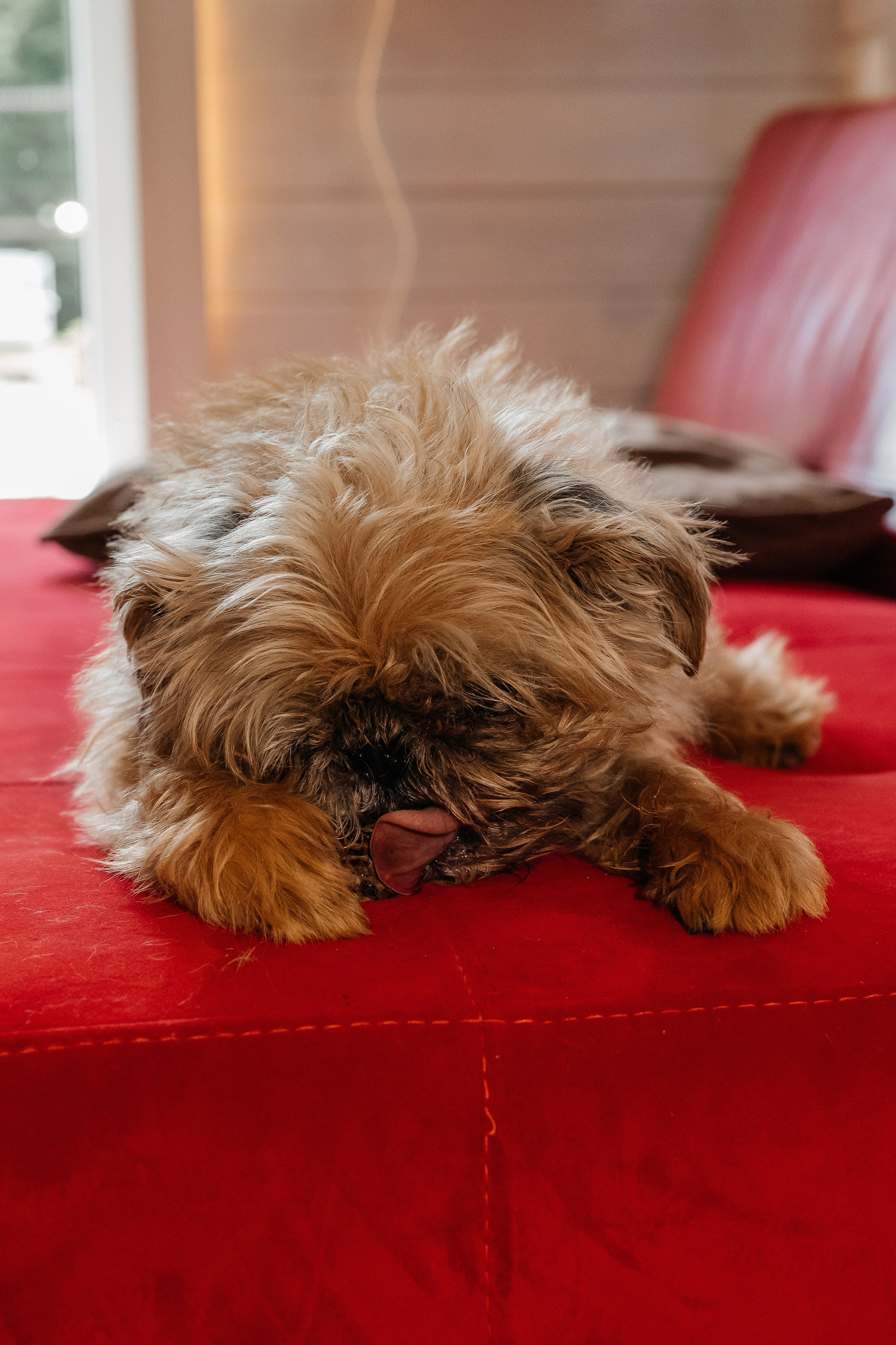 С праздником Великой Пасхи!. Сказочный фотограф для Вас и Вашей семьи
