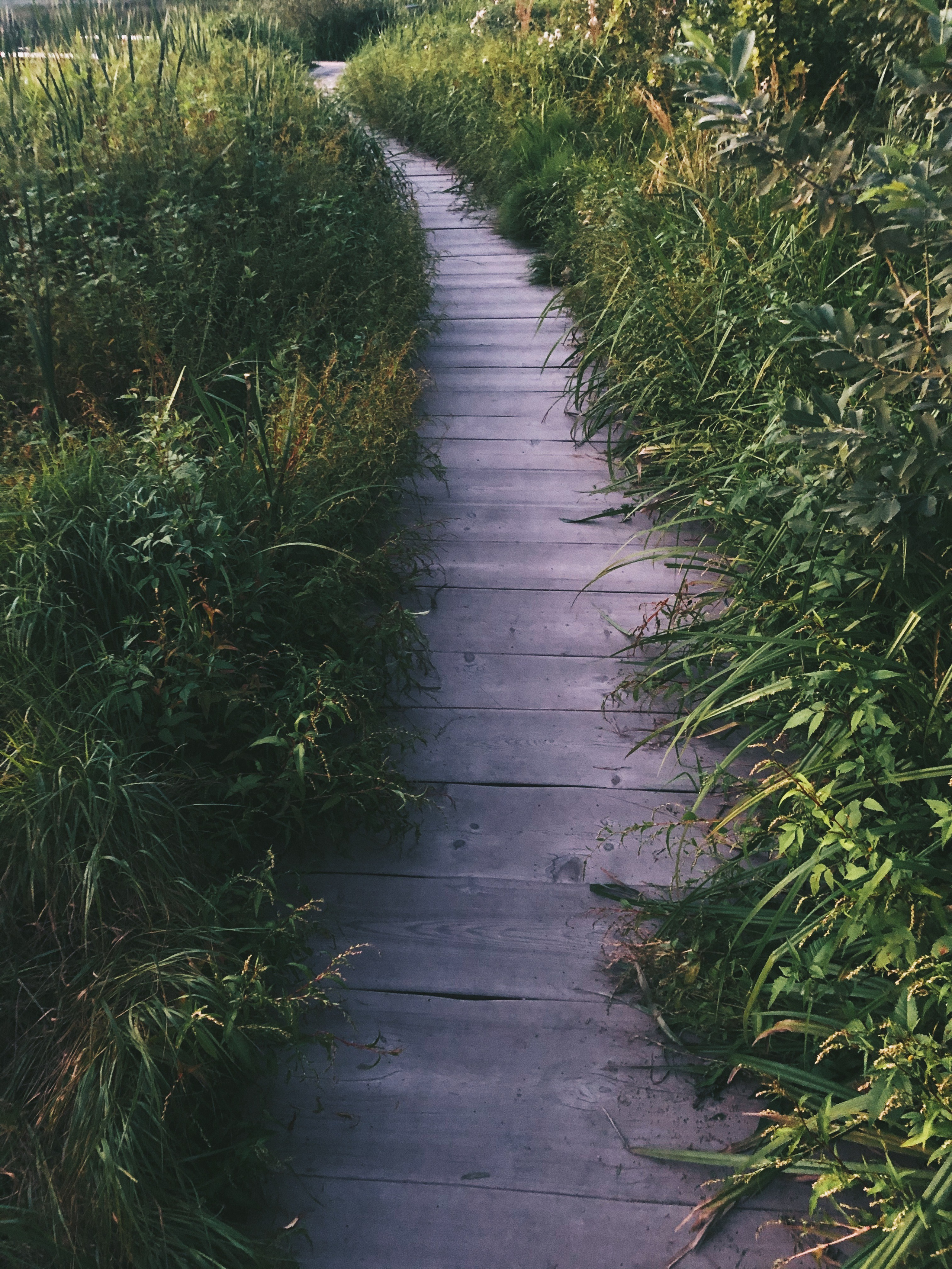 Визуальный дневник. Портретный фотограф в Москве Гахраманова Екатерина