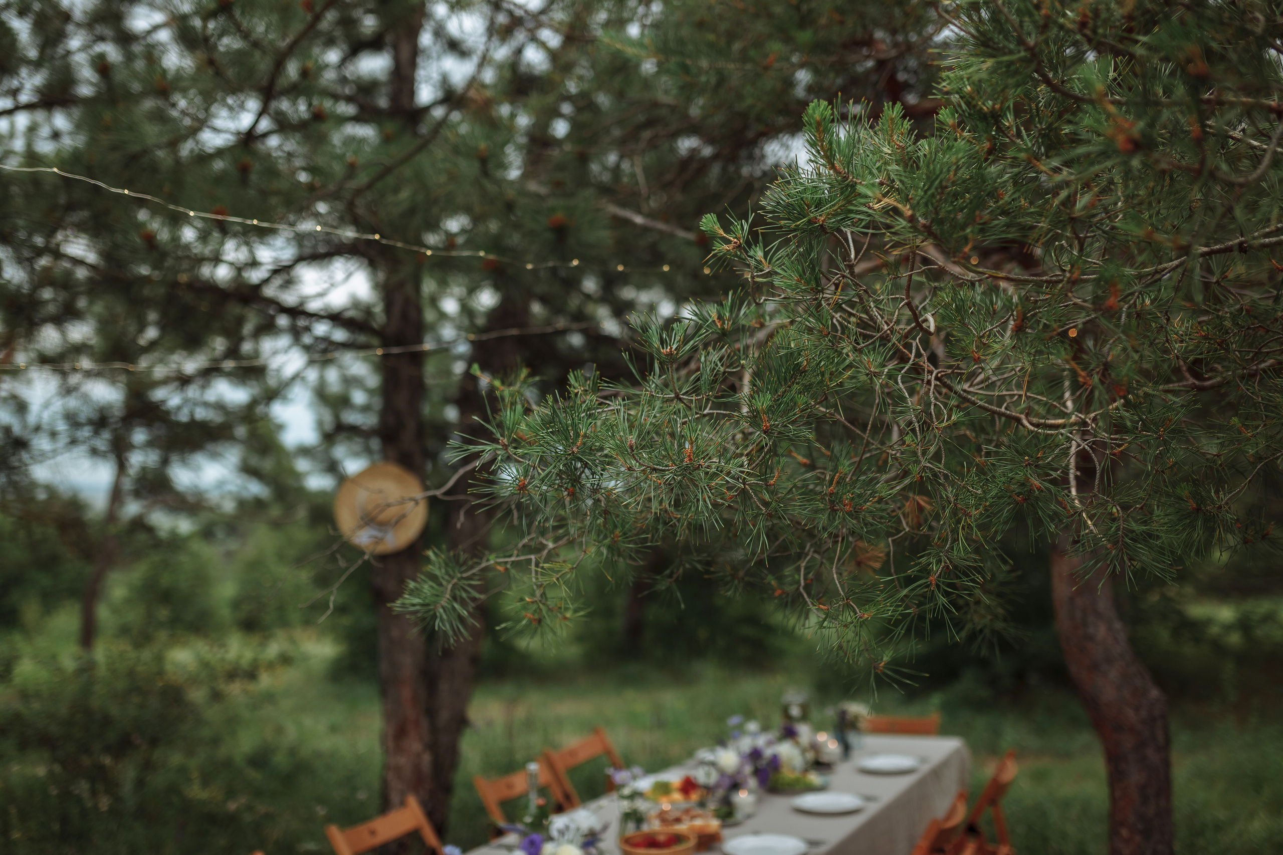 Девичник на холмах. Фотограф Яна Левин