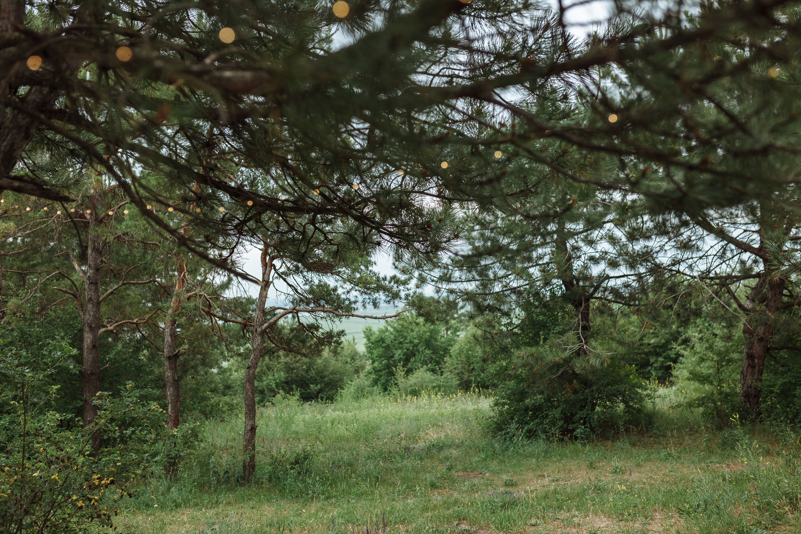 Девичник на холмах. Фотограф Яна Левин