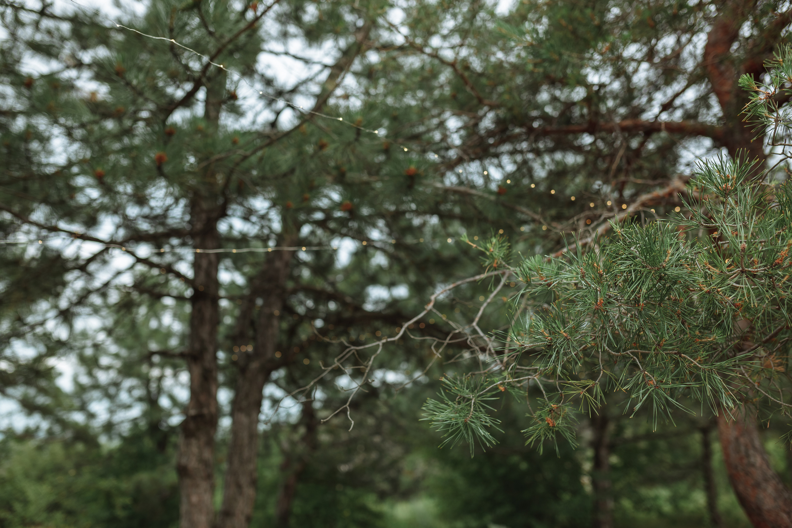 Девичник на холмах. Фотограф Яна Левин