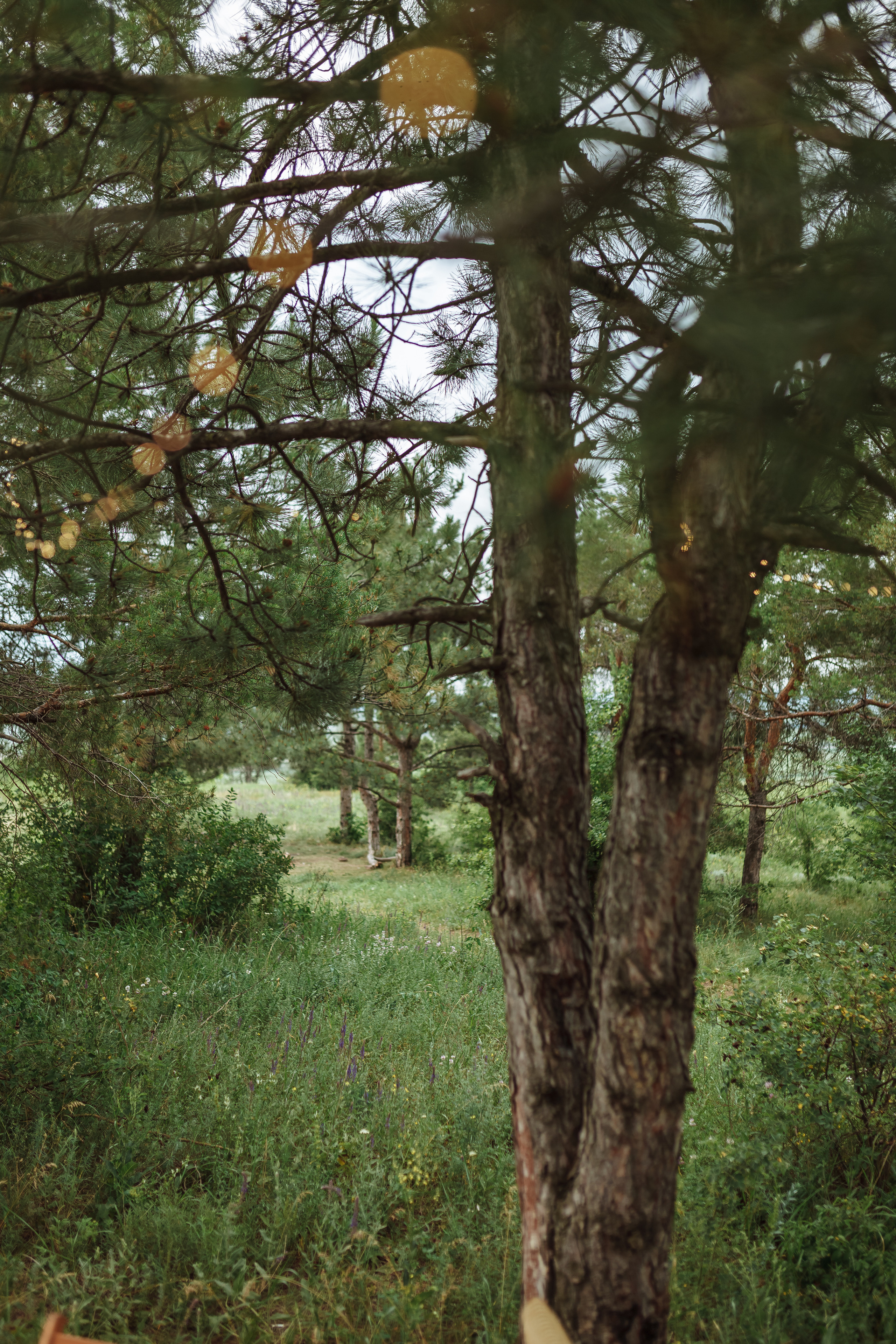 Девичник на холмах. Фотограф Яна Левин