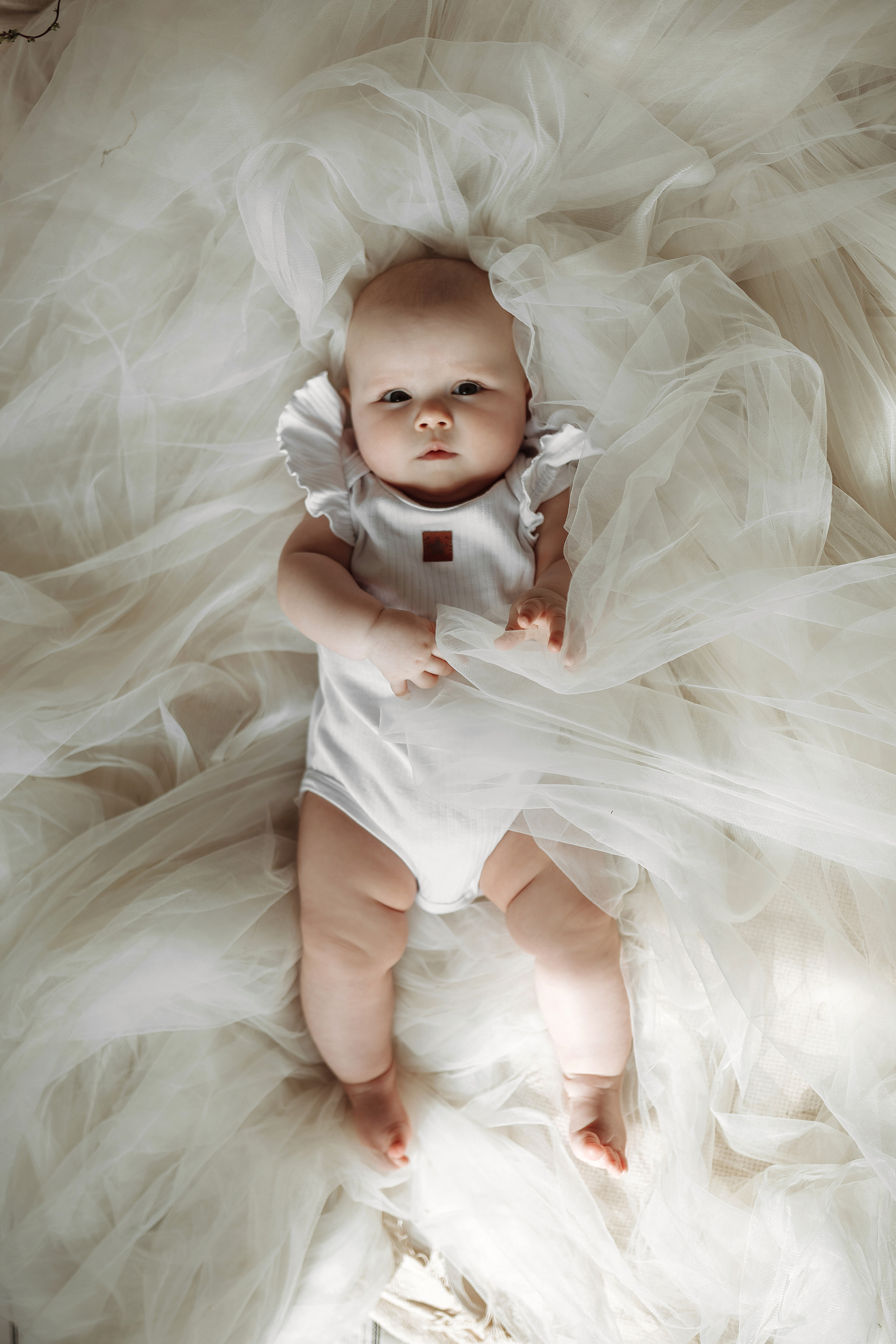 Софии 6 месяцев. Фотограф Яна Левин