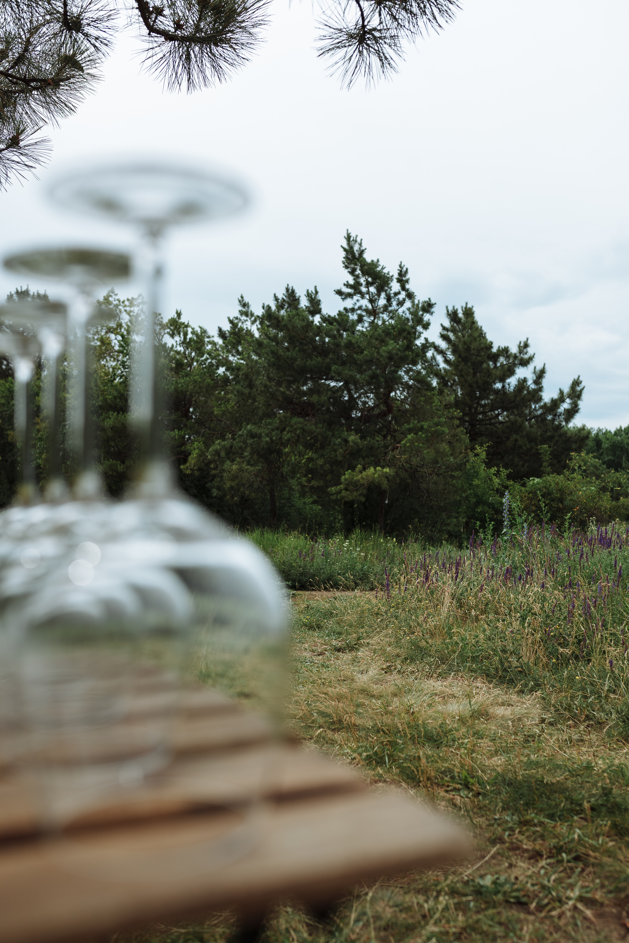 Девичник на холмах. Фотограф Яна Левин