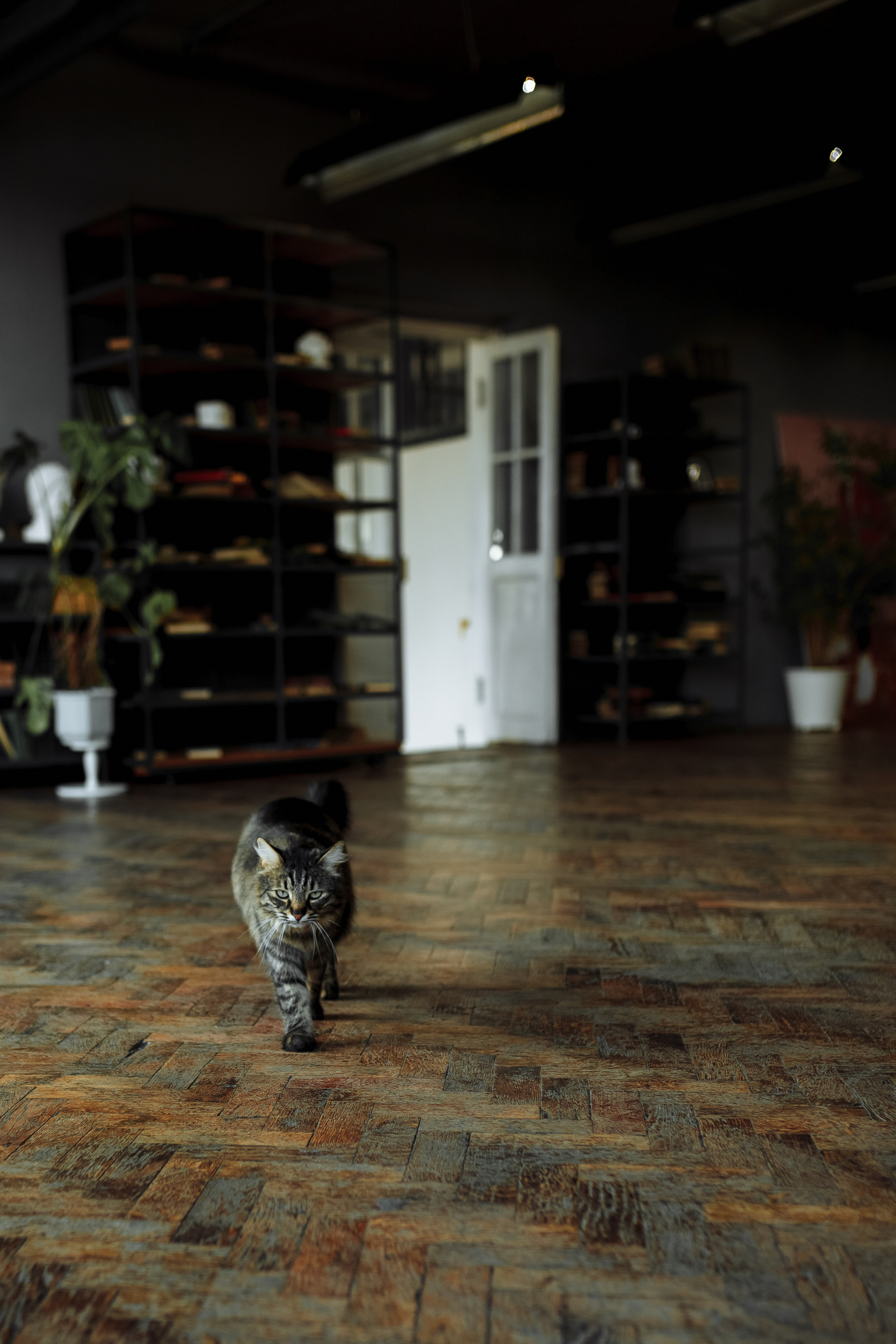 Мастер-класс организатора Алёны Паниной. Фотограф Яна Левин