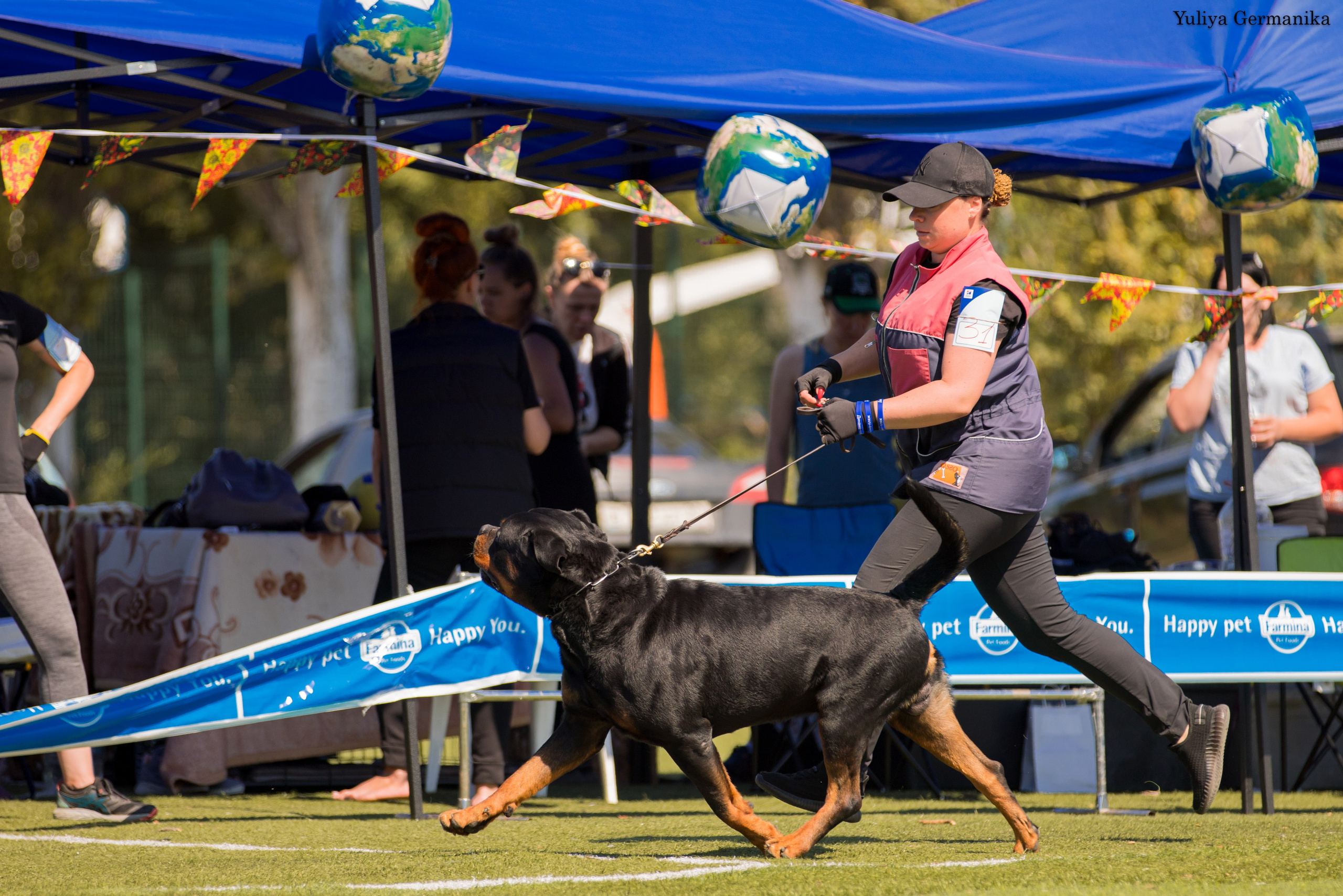 Анапа 16-17.09.2023 моно ротвейлеров. Фотограф-анималист Юлия Германика