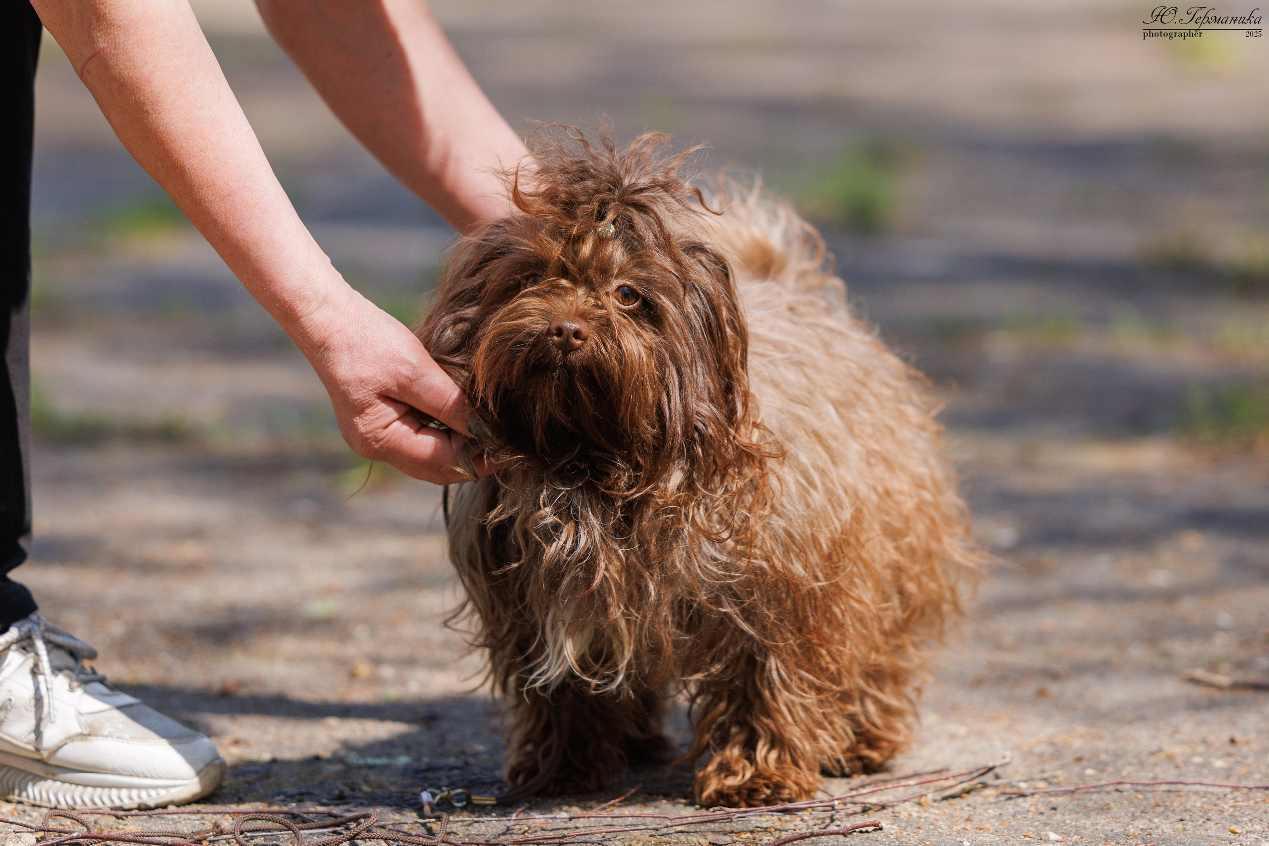 Тверь 24.05.2025. Фотограф-анималист Юлия Германика