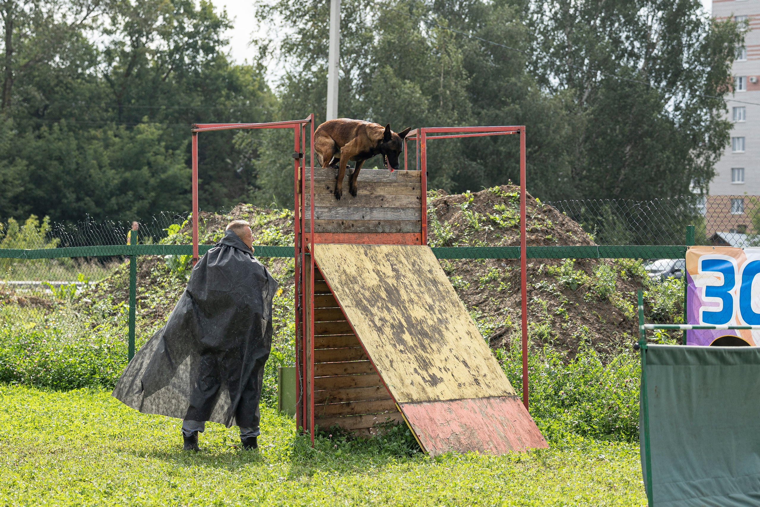 Соревнования по Мондьорингу г. Вологда 10-11.08.2024. Фотограф-анималист Анна Маринич
