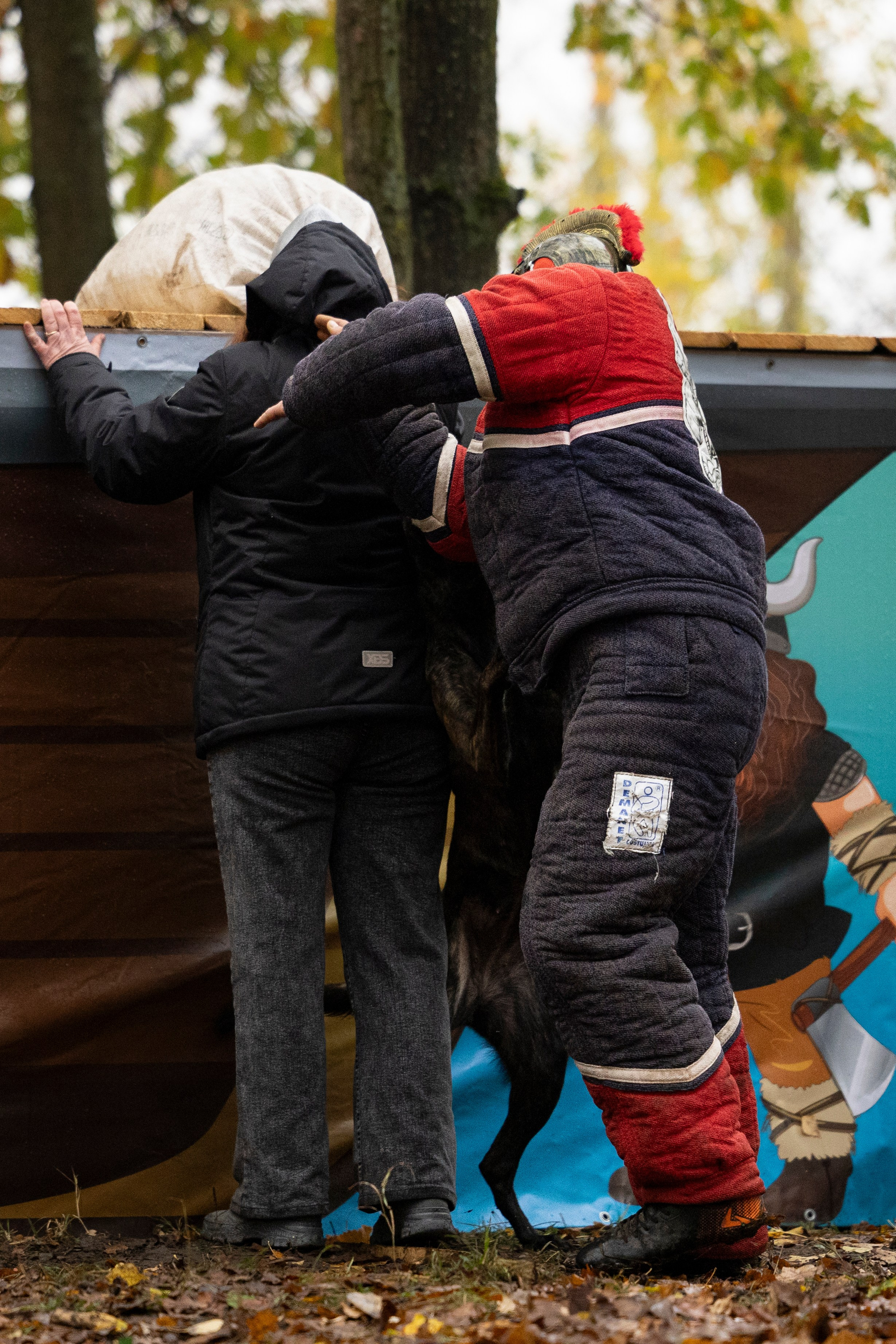 Соревнования по Мондьорингу г. Вологда. Фотограф-анималист Анна Маринич