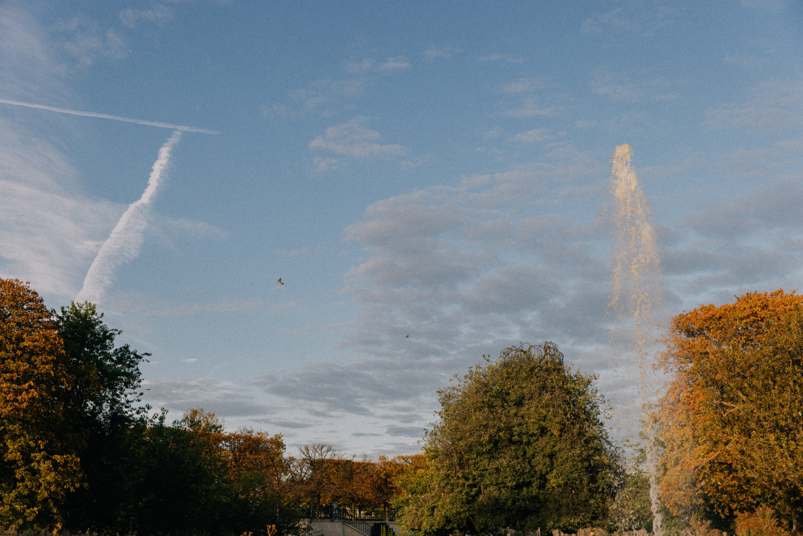 Paris 94. Фотограф в Париже