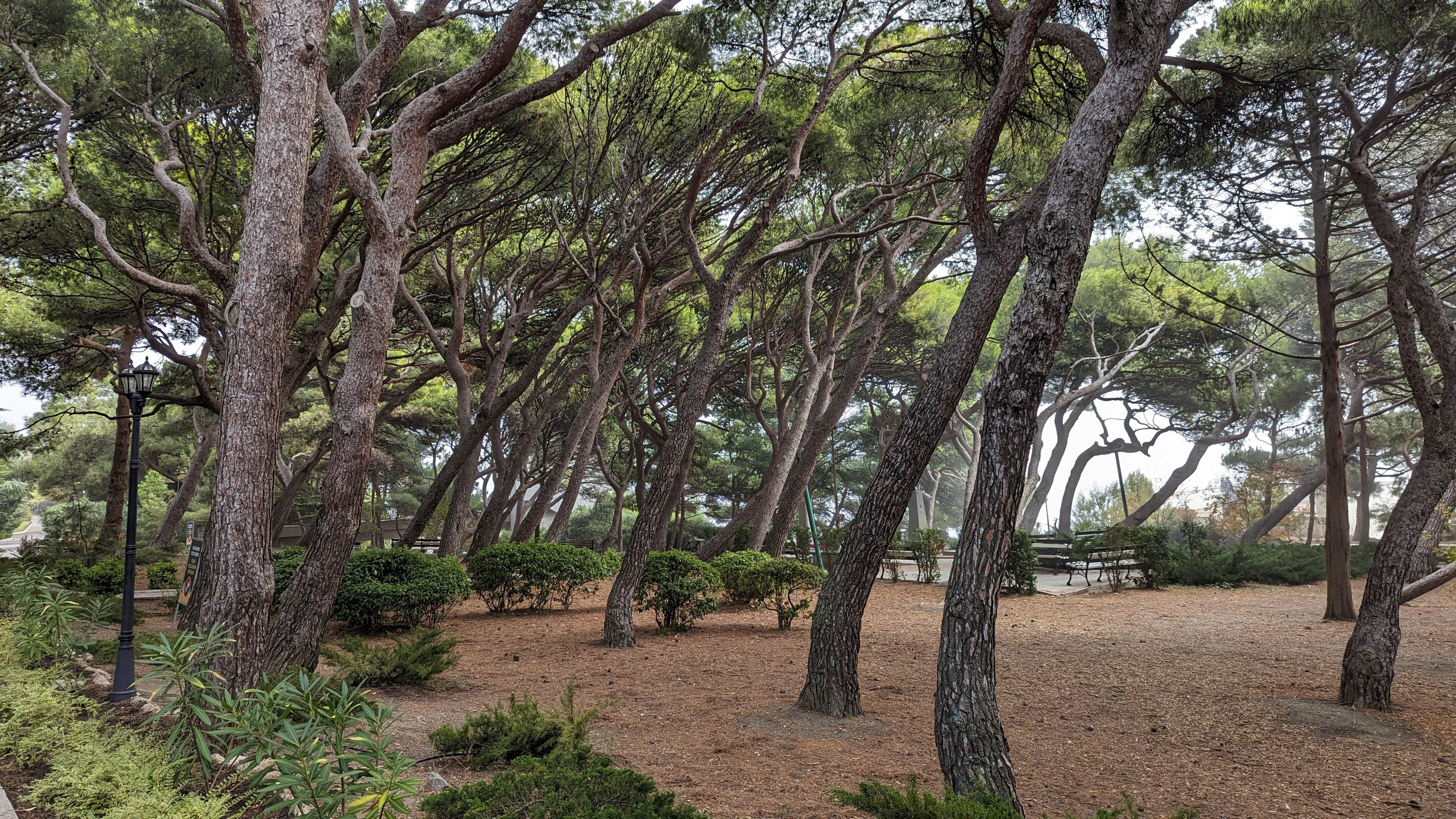 Топ локаций для фотосессии в Крыму - советы от фотографа. Профессиональная фотосъемка в Крыму. Натуральные эмоции и живые кадры. Забронируйте дату прямо сейчас!