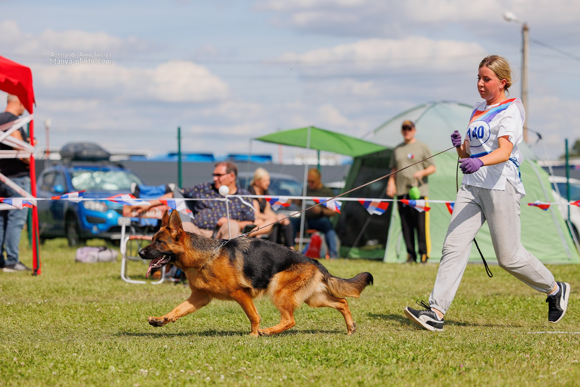 Немецкие овчарки: фото из рингов и вне ринга, мутпроба (фотографии с выставок). Фотограф собак, фотограф-анималист Аня Титова (Titanya). Москва