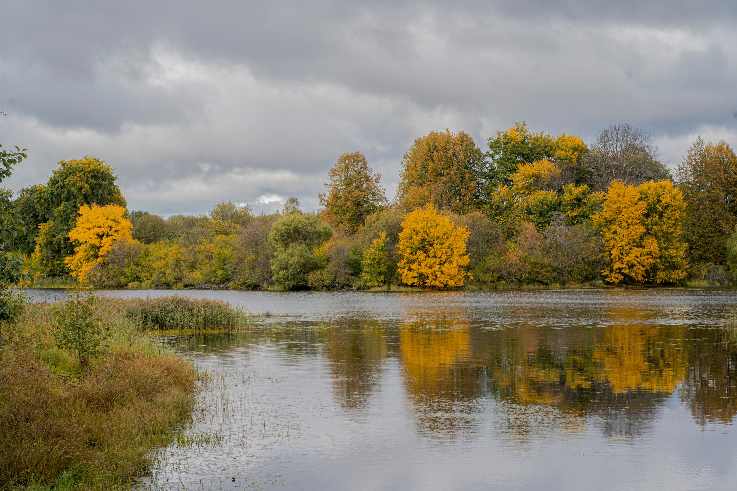 Фотокартины. Семейный фотограф Ирина Ильиных-Вольная в Москве и не только