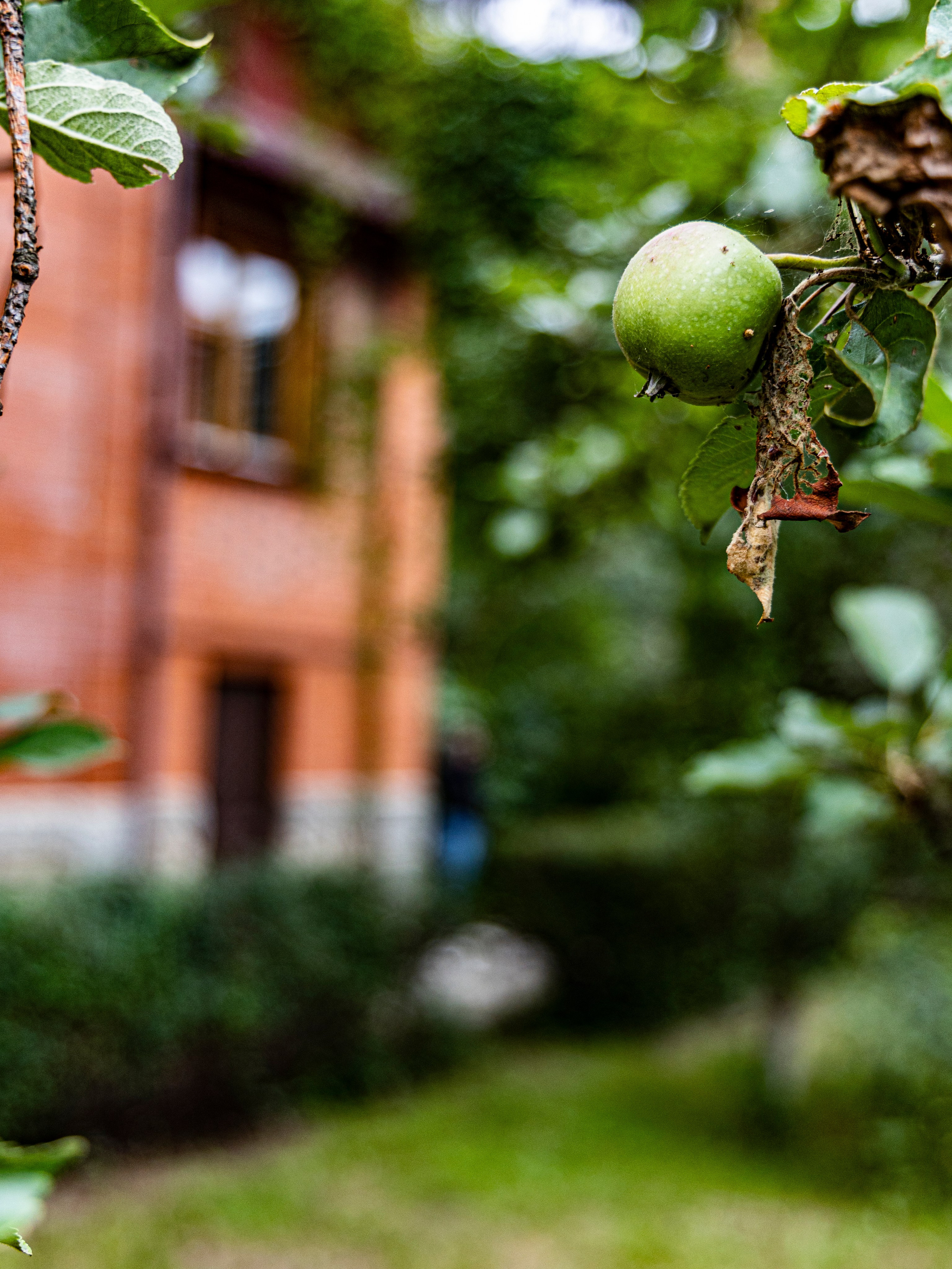 Фотограф Татьяна Марсуверских г. Жуковский, Москва и Мо. Репортажные съёмки, фотосессии. Детский, семейный фотограф. Фотограф для маркетплейсов, фотоуслуги в Жуковском Татьяна Марсуверских