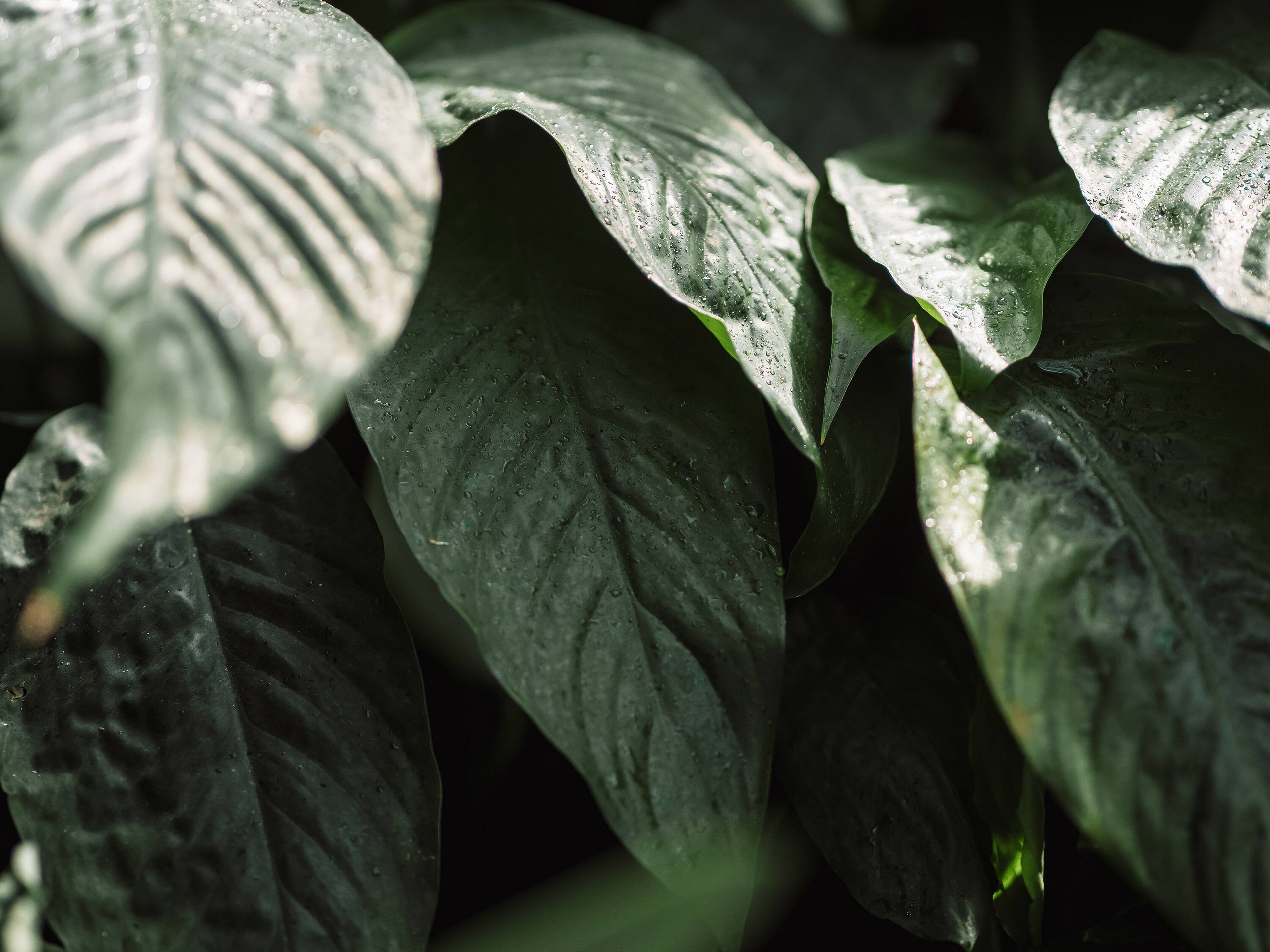 . Фотоёжъ | P H O T O E Z H O G R A P H Y