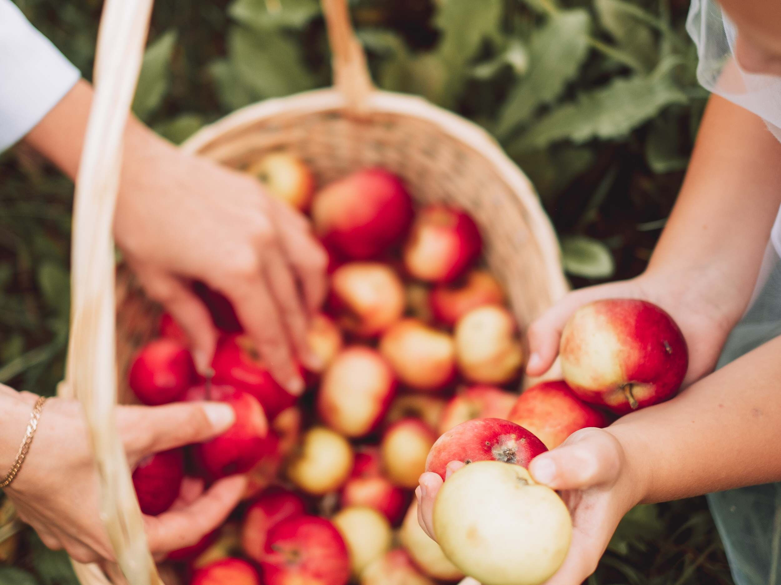 . Фотоёжъ | P H O T O E Z H O G R A P H Y