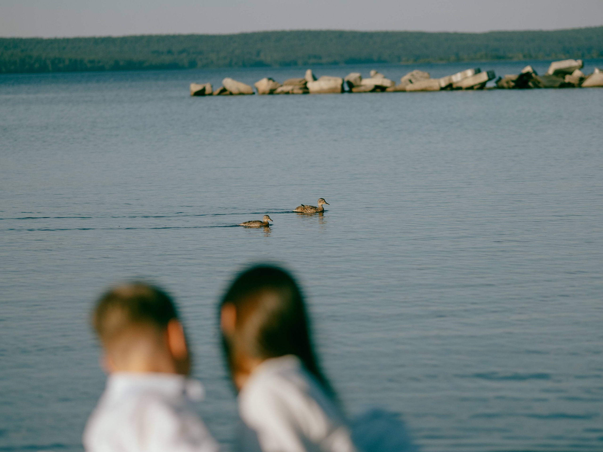 . Фотоёжъ | P H O T O E Z H O G R A P H Y