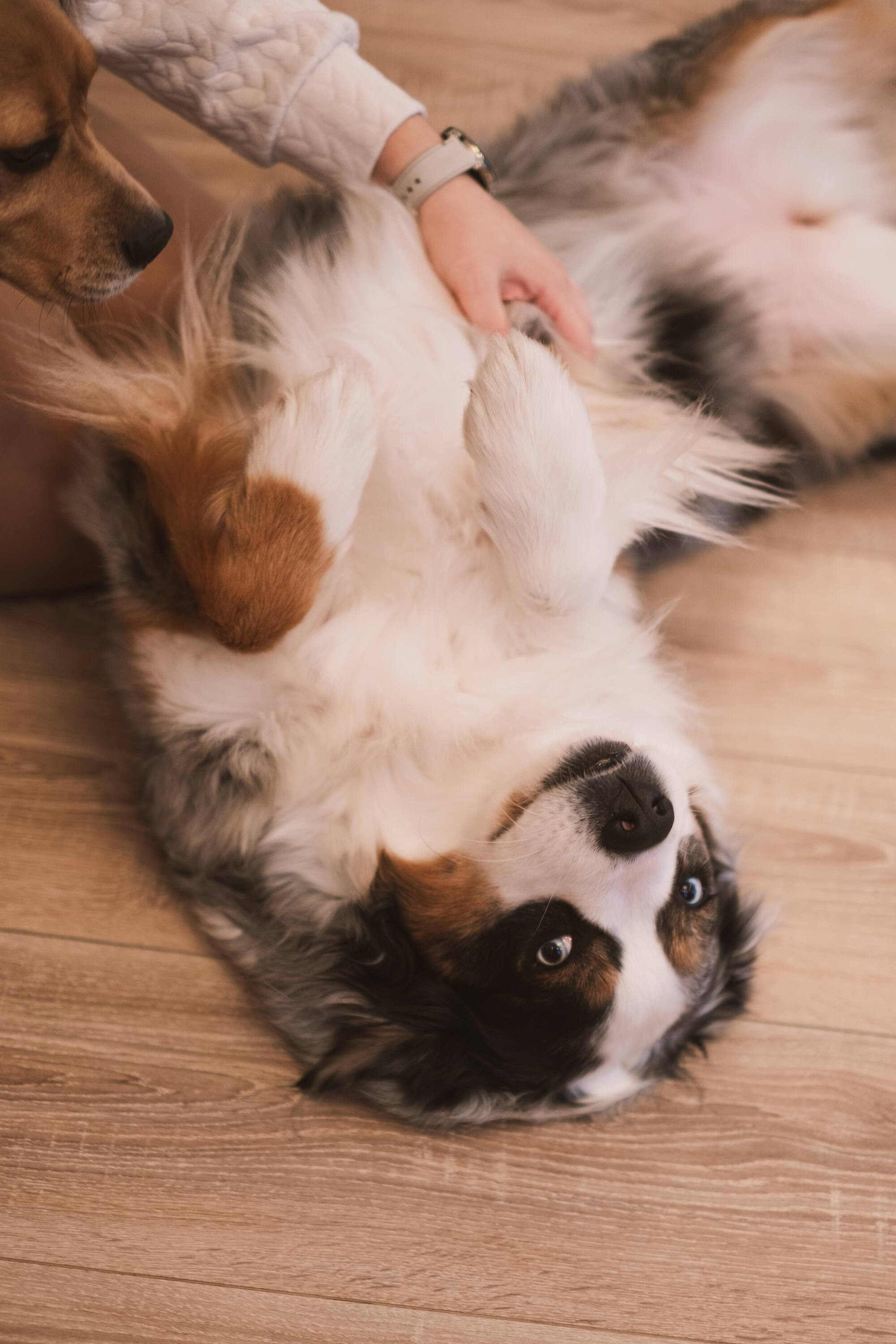 . Фотоёжъ | P H O T O E Z H O G R A P H Y