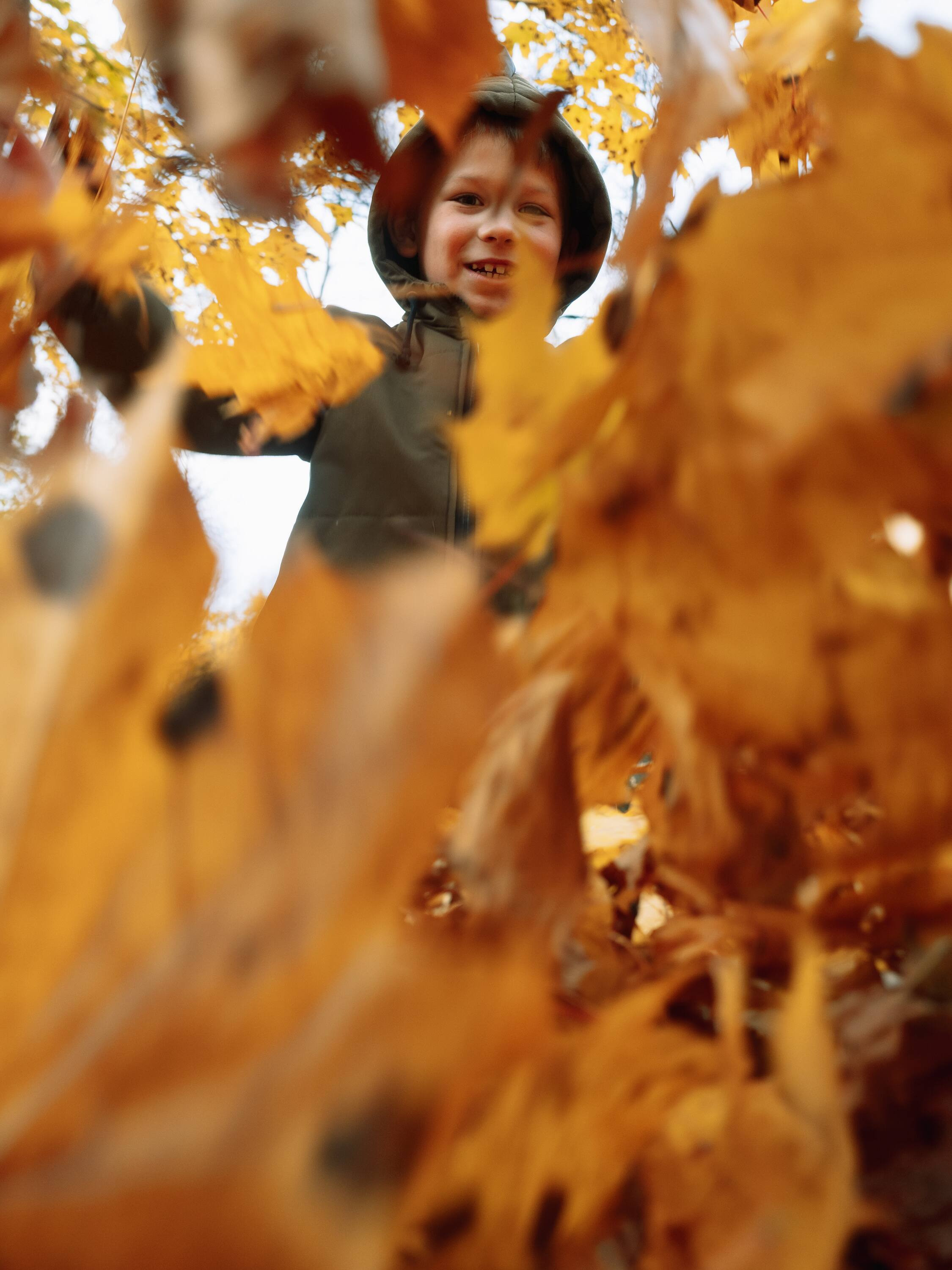 . Фотоёжъ | P H O T O E Z H O G R A P H Y