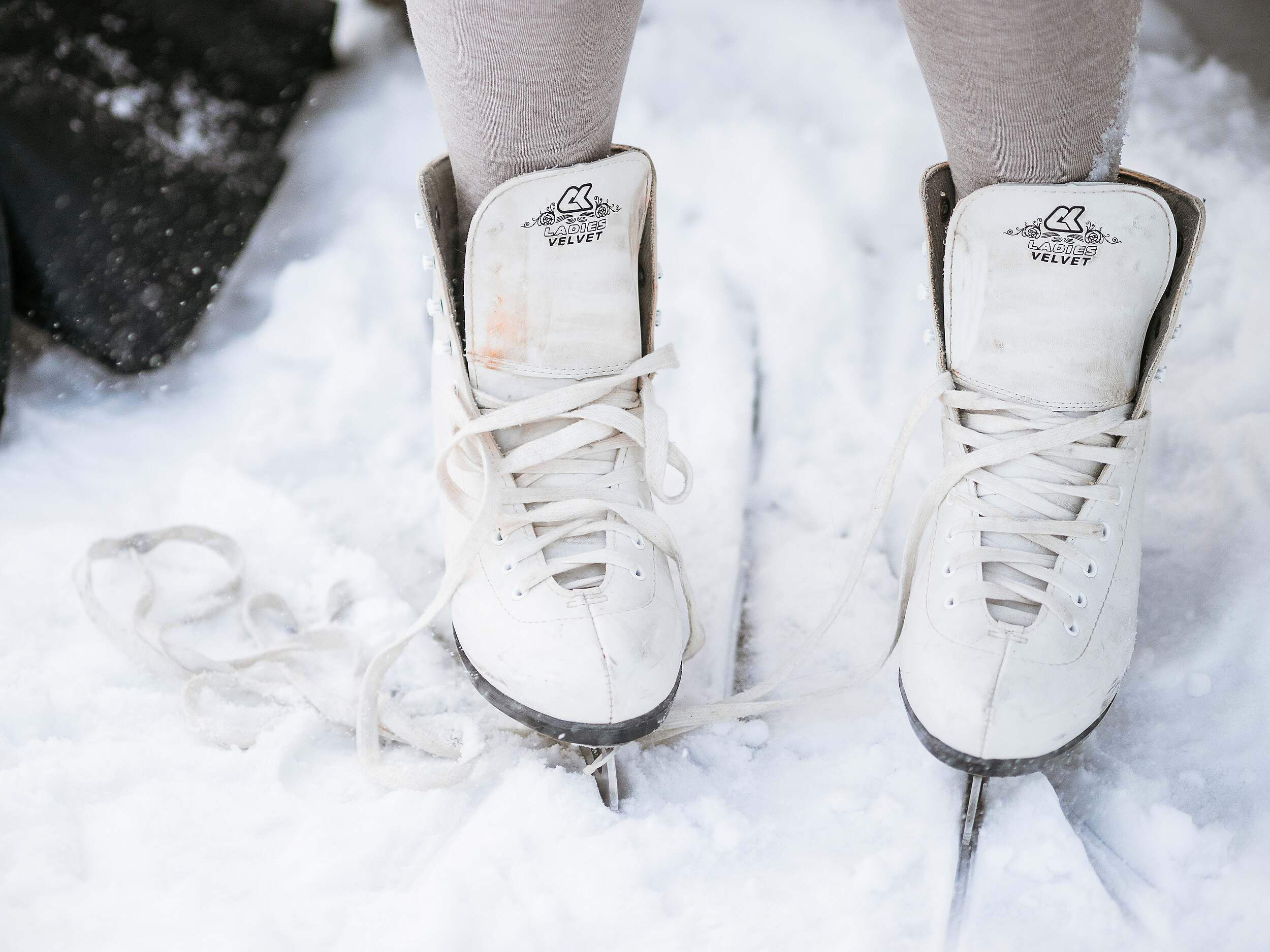 . Фотоёжъ | P H O T O E Z H O G R A P H Y