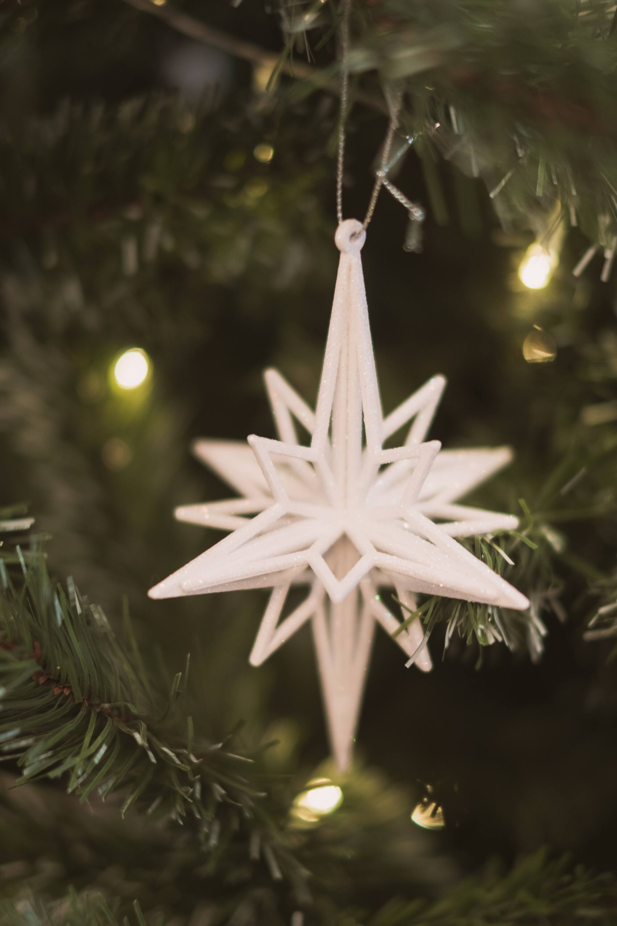 . Фотоёжъ | P H O T O E Z H O G R A P H Y