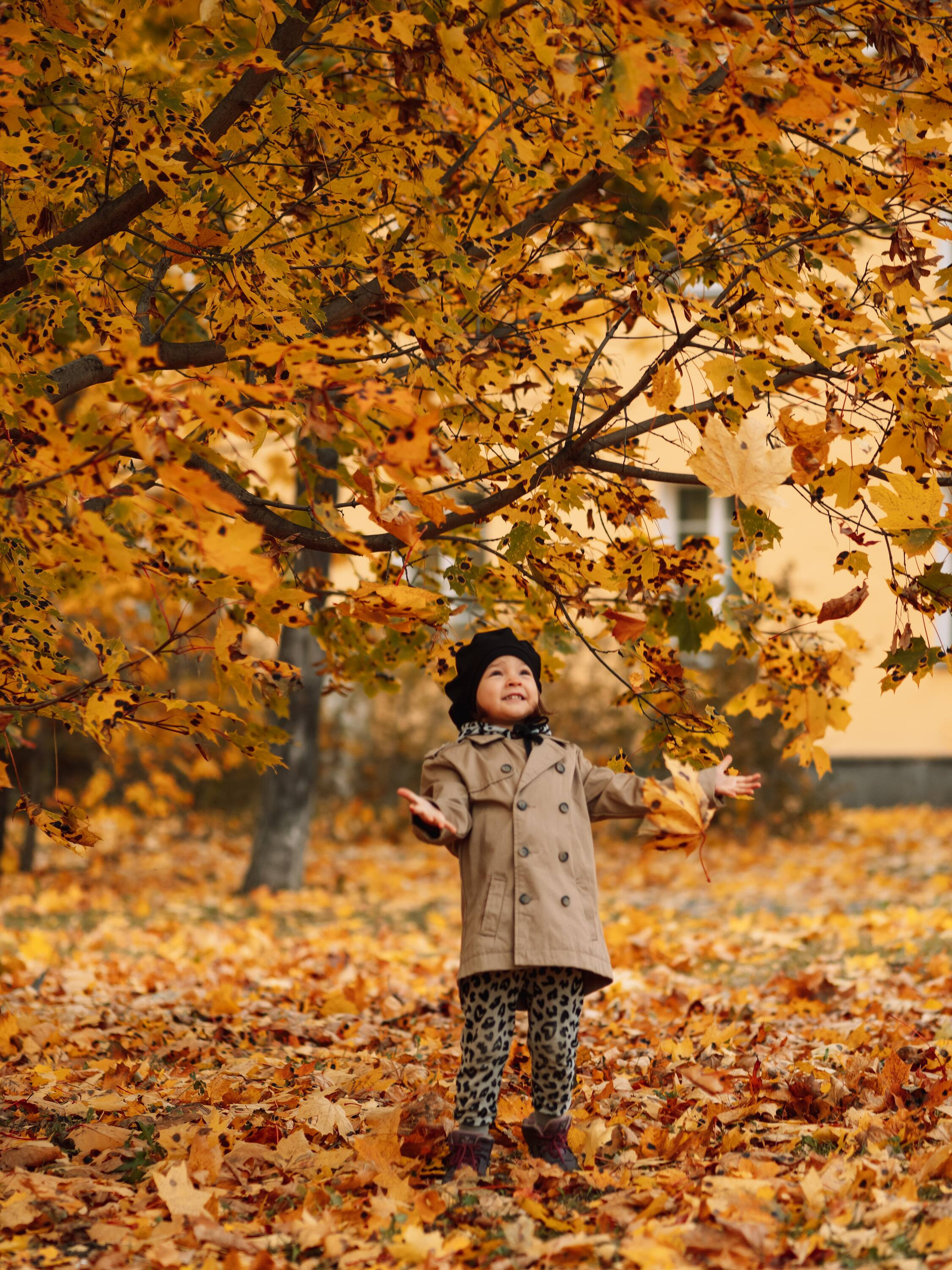 . Фотоёжъ | P H O T O E Z H O G R A P H Y