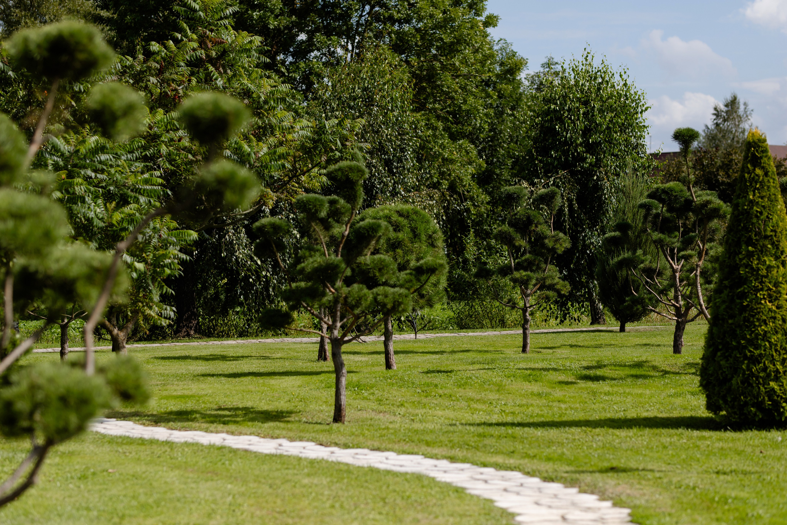 Антон и Наташа. Свадебный фотограф Анна Бабахина