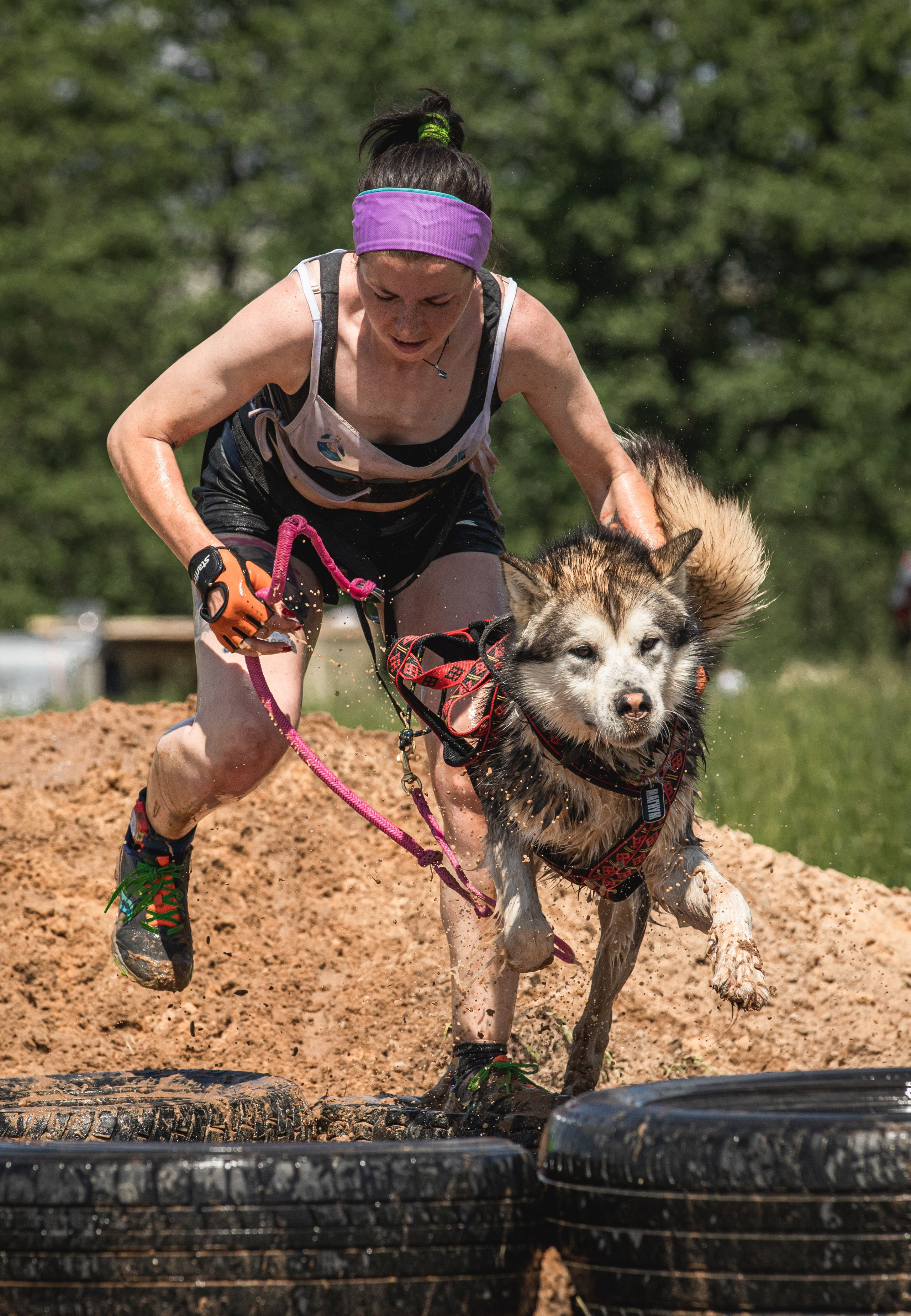 Репортажная съёмка спортивных мероприятий. ESHE_PHOTO Фотограф анималист в Москве и Московской области