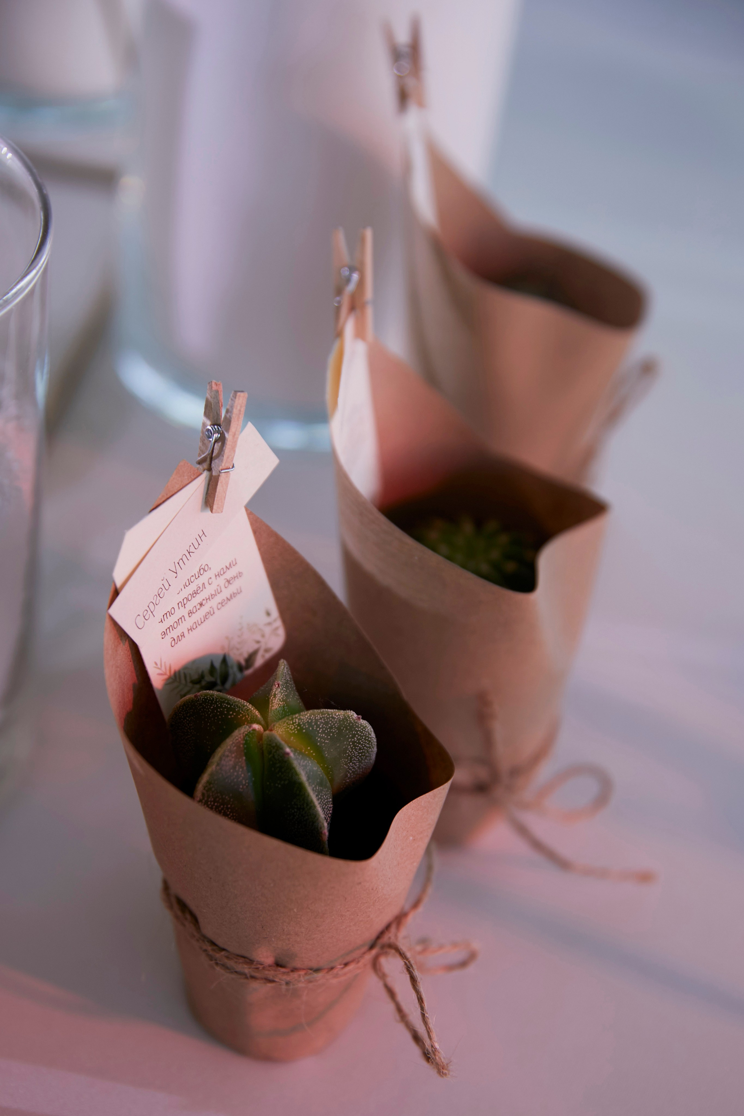 Denis & Tatiana | Russia, Dmitrov. Свадебный фотограф