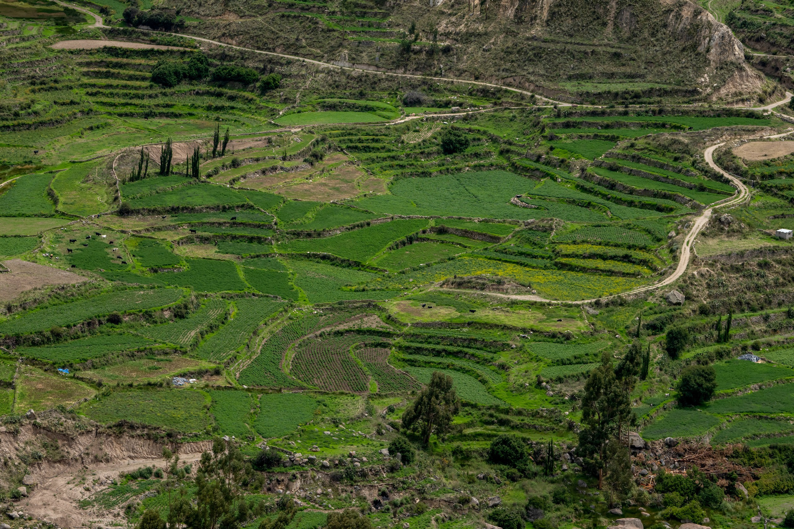 Перу. Foto-Zuev фотография как искусство