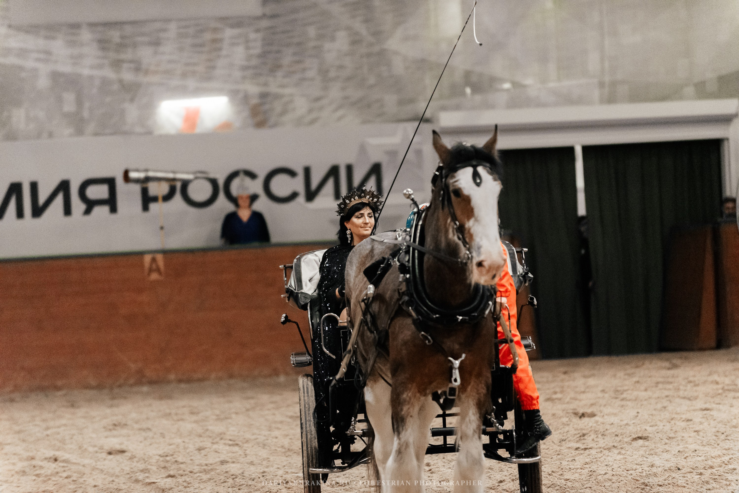 Конное представление «Дыхание Звёзд». Конный фотограф Куракина Дарья • Фотосессии с лошадьми