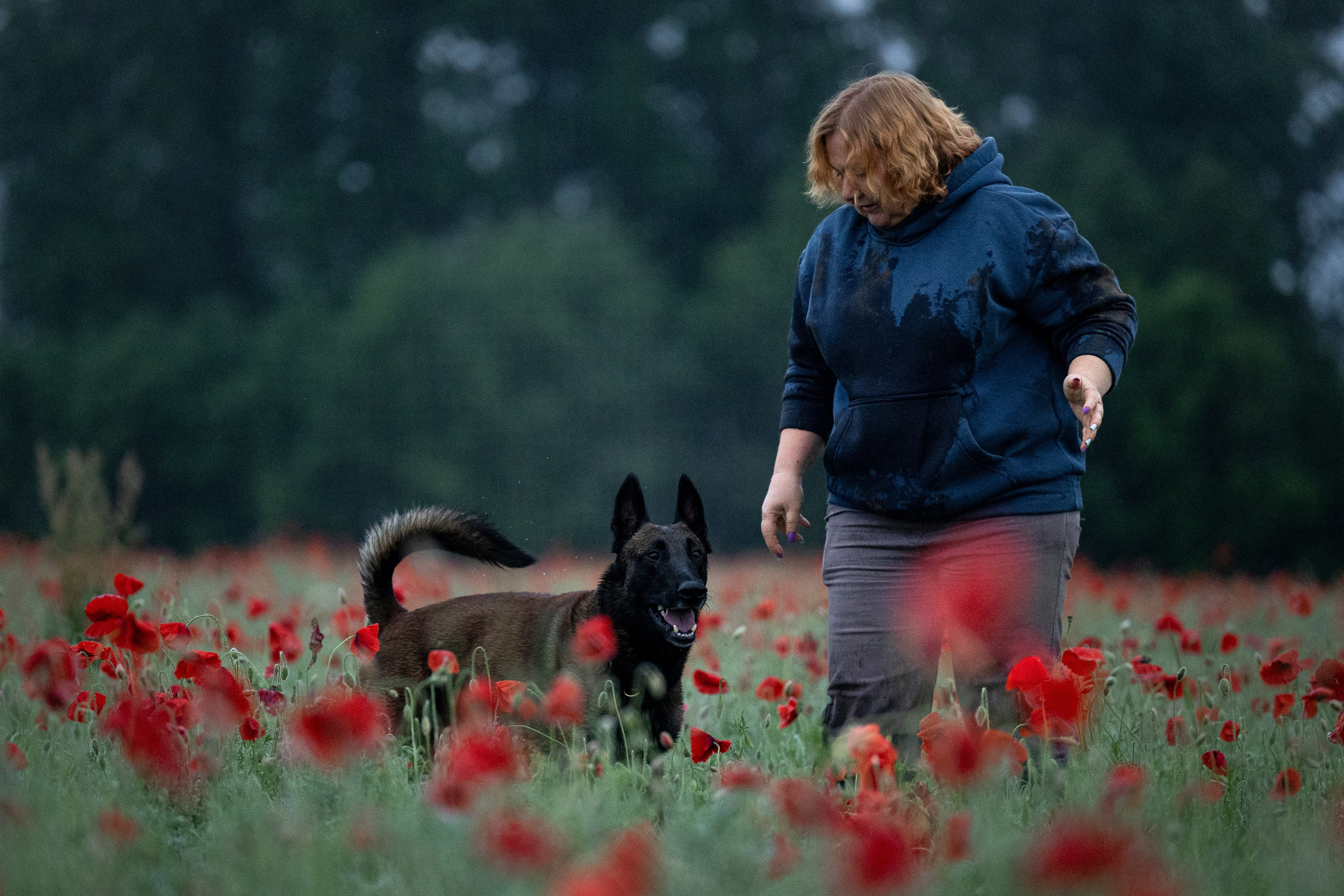 Маковое поле. Фотограф-анималист Анна Маринич