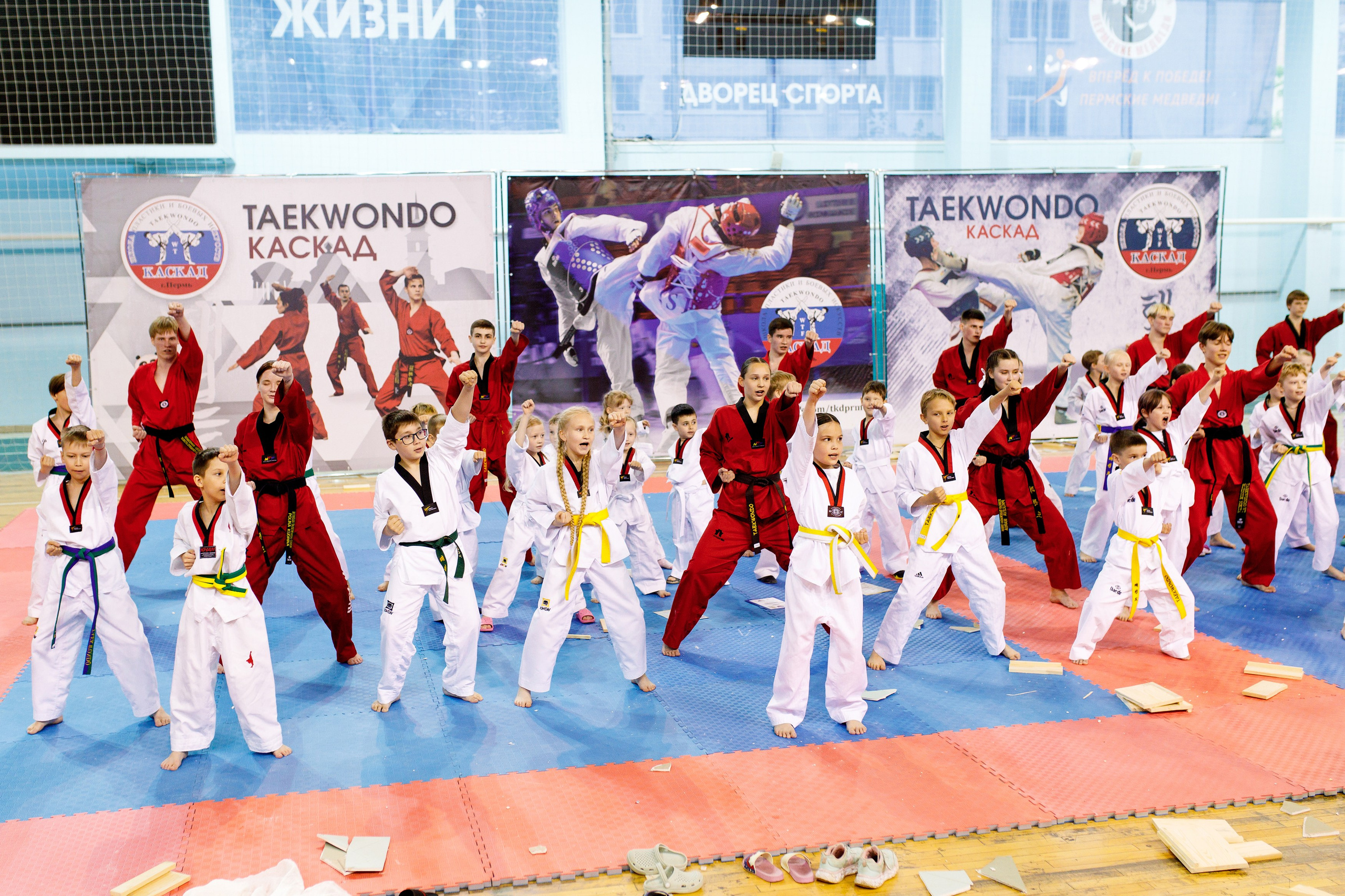 Тхэквондо СК «Каскад». Фотограф Дмитрий Молчанов | Фотограф Пермь | Фотограф