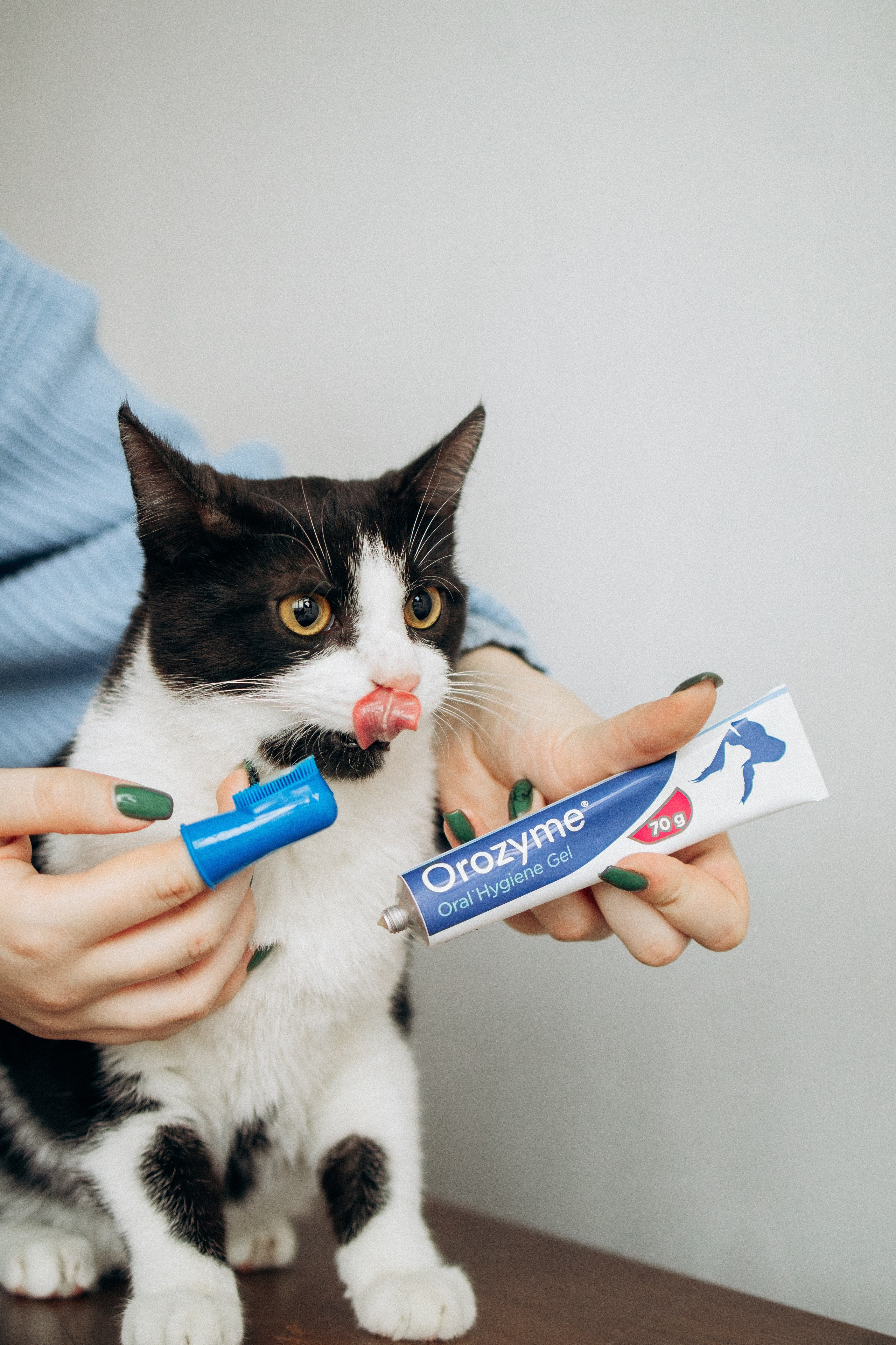 Orozyme&Emmiepet. Фотораф — анималист Мария Шистка