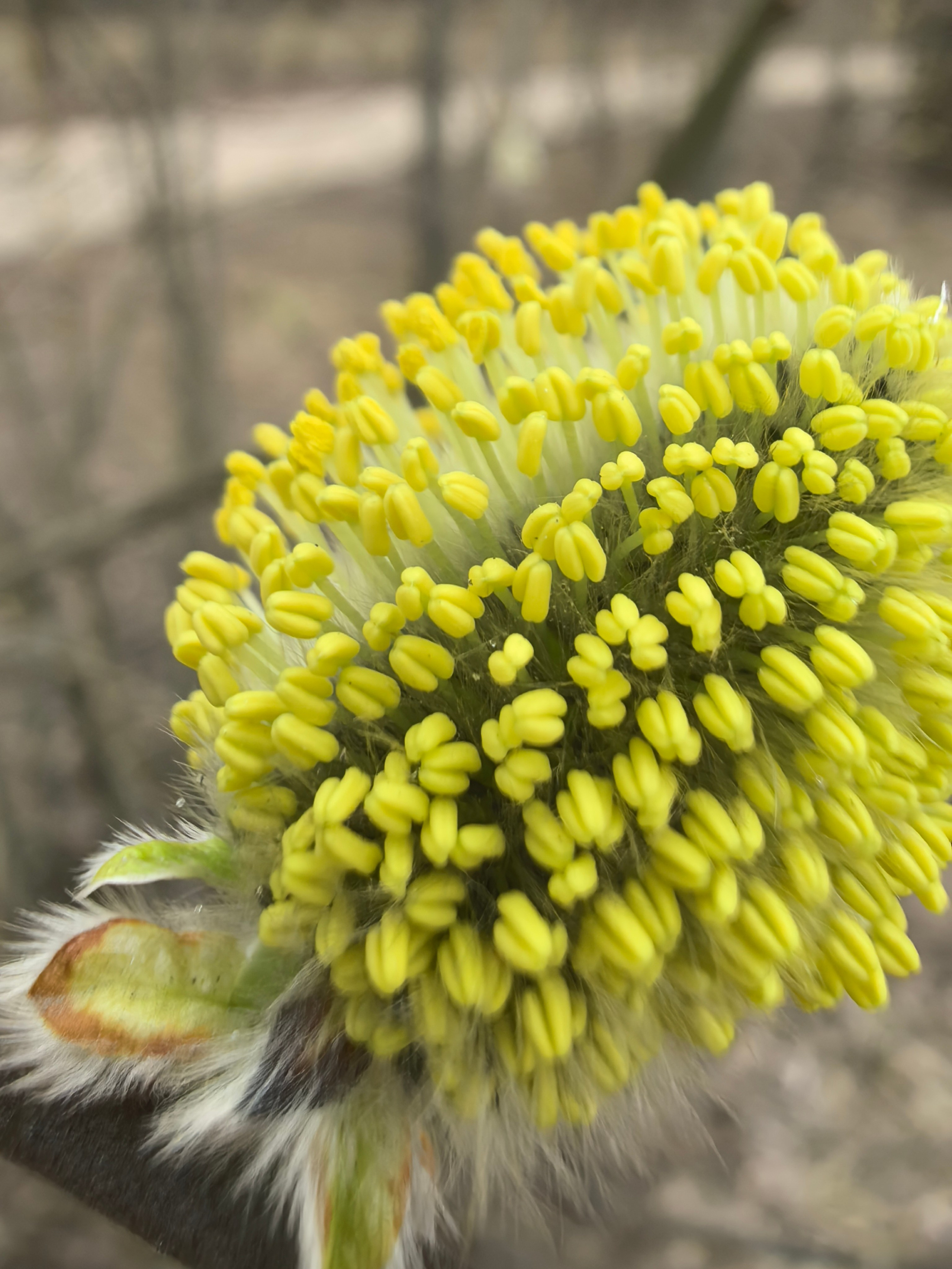 ПочтиМАКРО. Школьные выпускные альбомы в Москве Марина Николаева