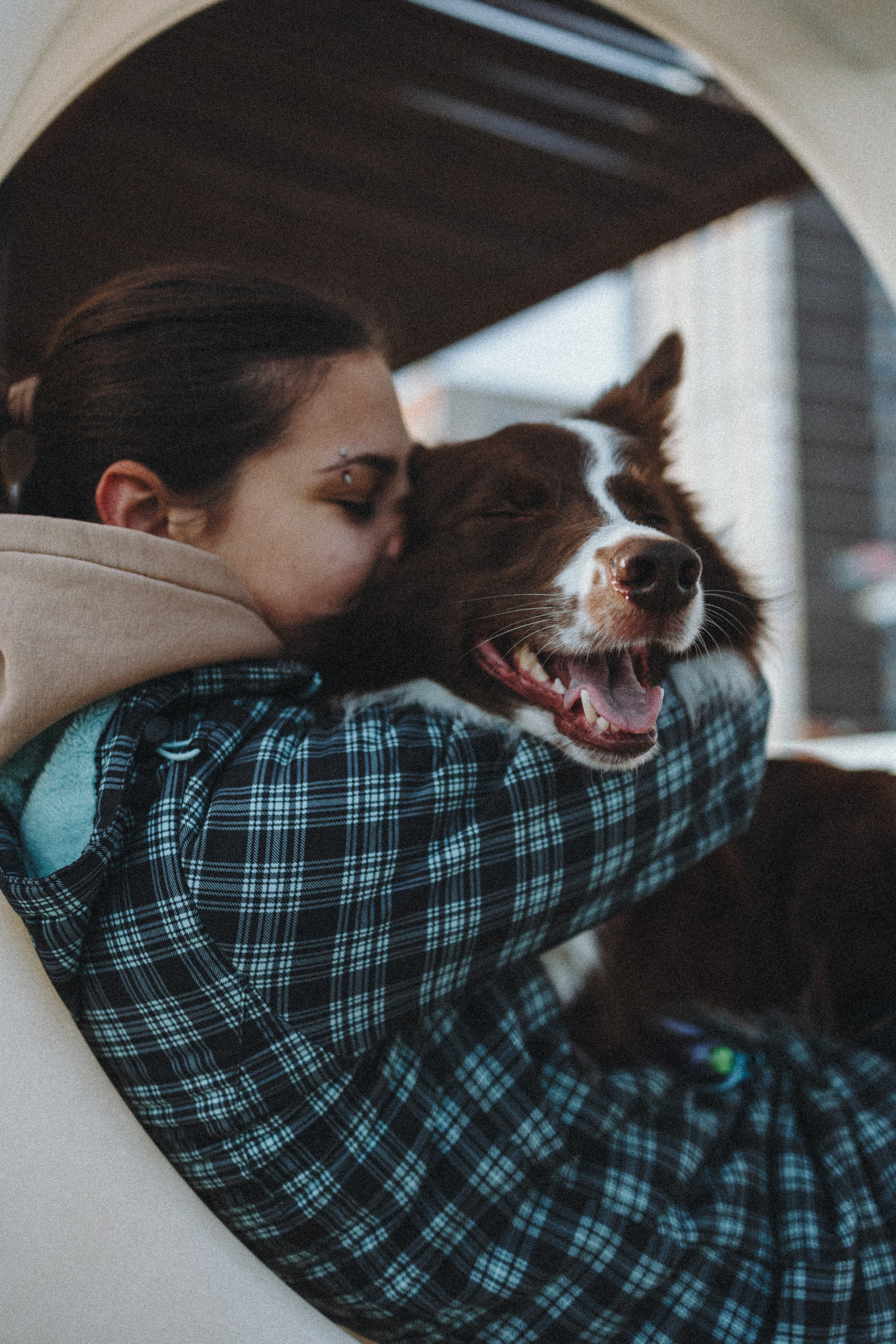 Маша и Тори. Фотограф — анималист Светлана Кысса|фотограф собак в Краснодаре и Нижнем Новгороде