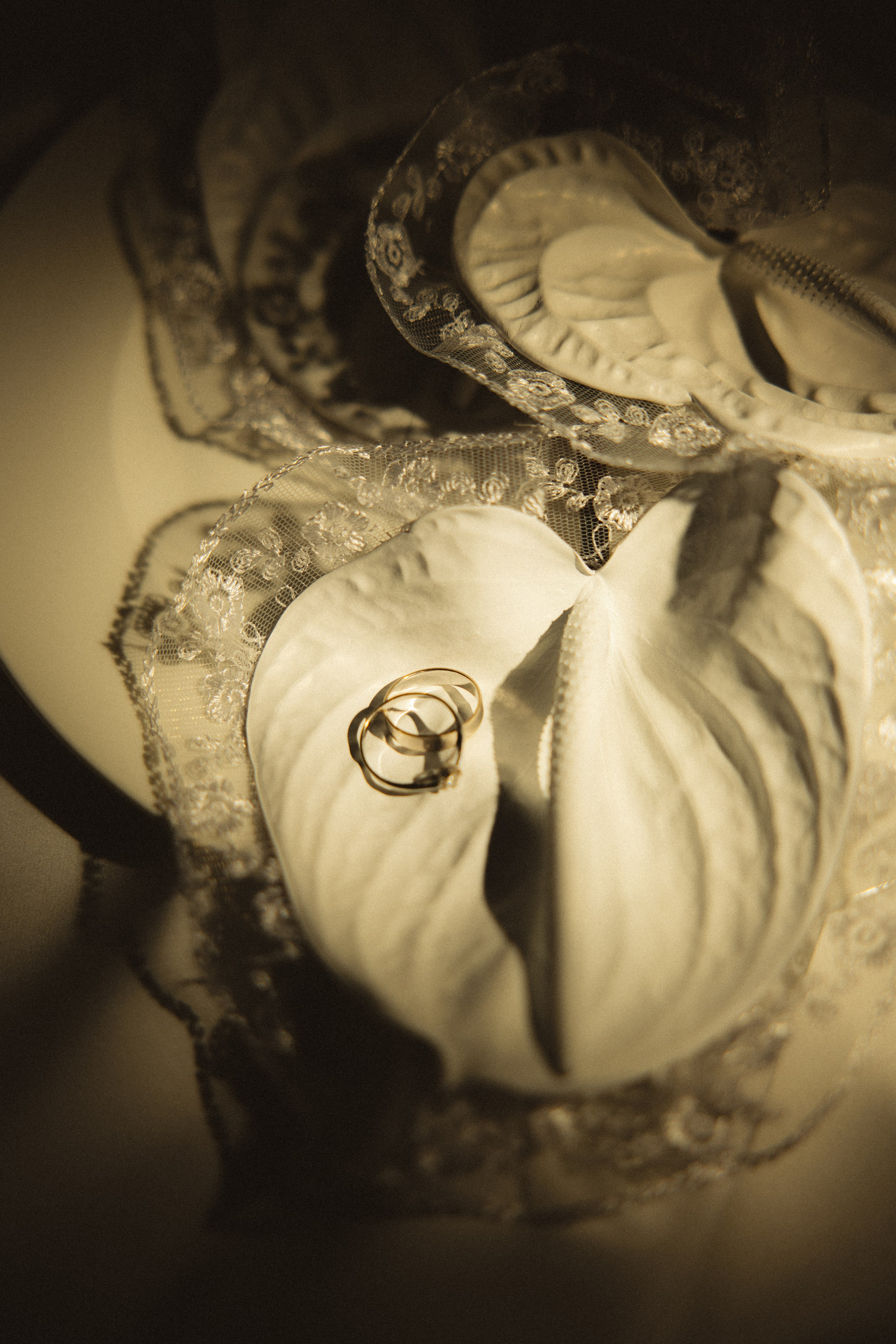 Вероника & Максим. Phdkvmr.ru