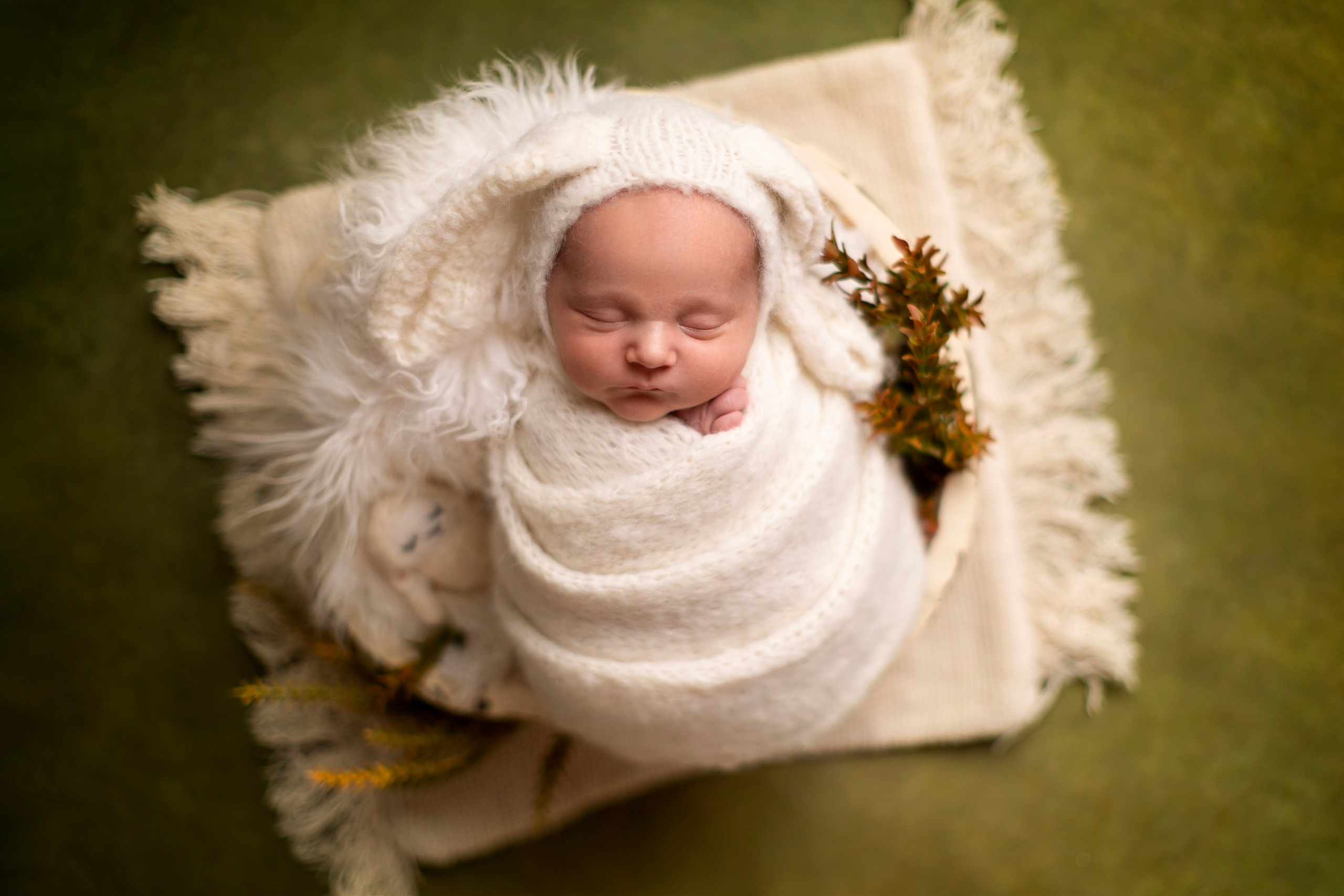 Forest green. Фотограф новорожденных, семейный фотограф в Санкт-Петербурге