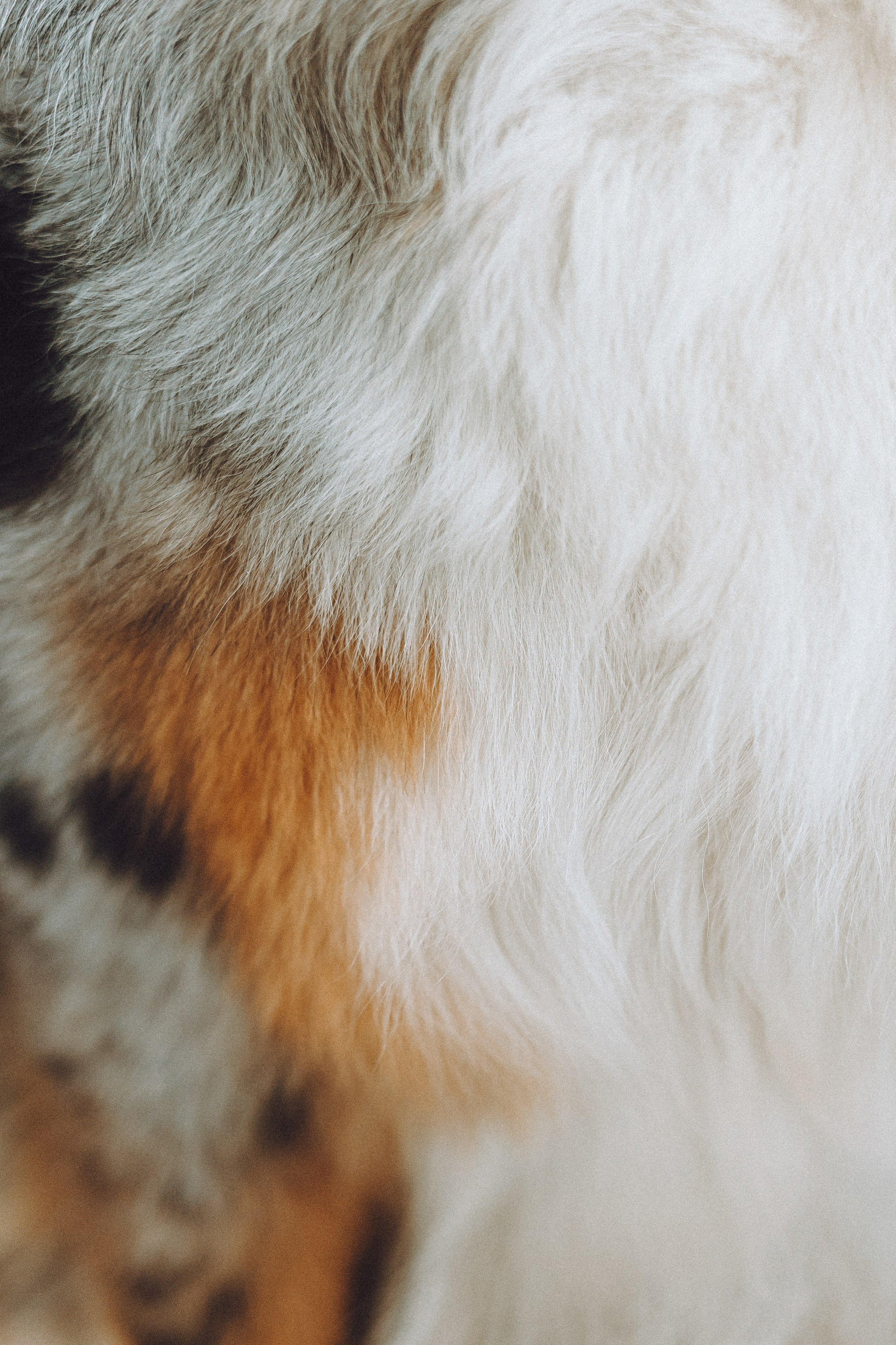 Фаня и ее семья