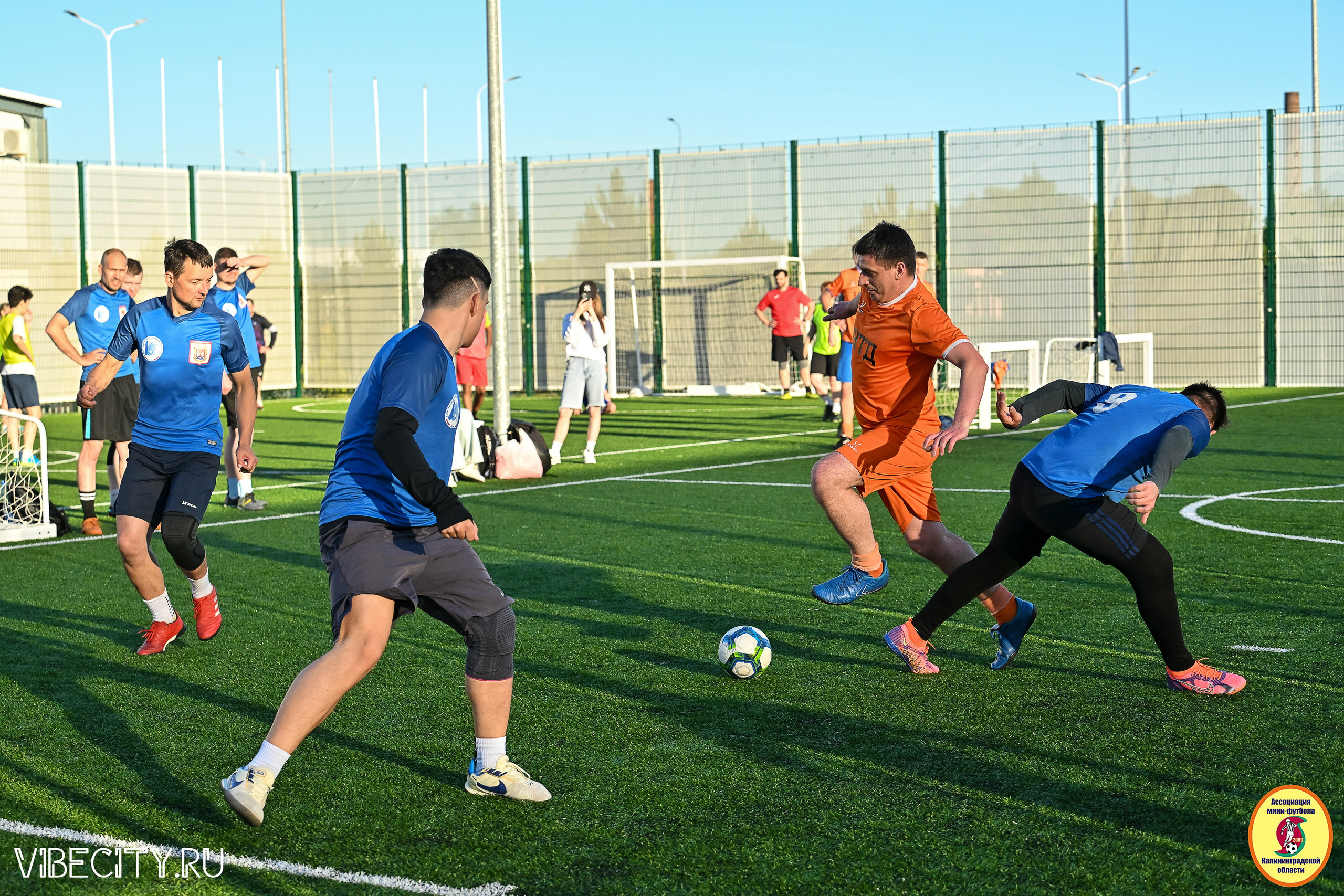 ИГРЫ МИНИ-ФУТБОЛЬНОЙ И КОРПОРАТИВНОЙ ЛИГИ. VIBECITY.RU Вайб Сити Ру Фоторепортажи Фотоотчеты Калининград