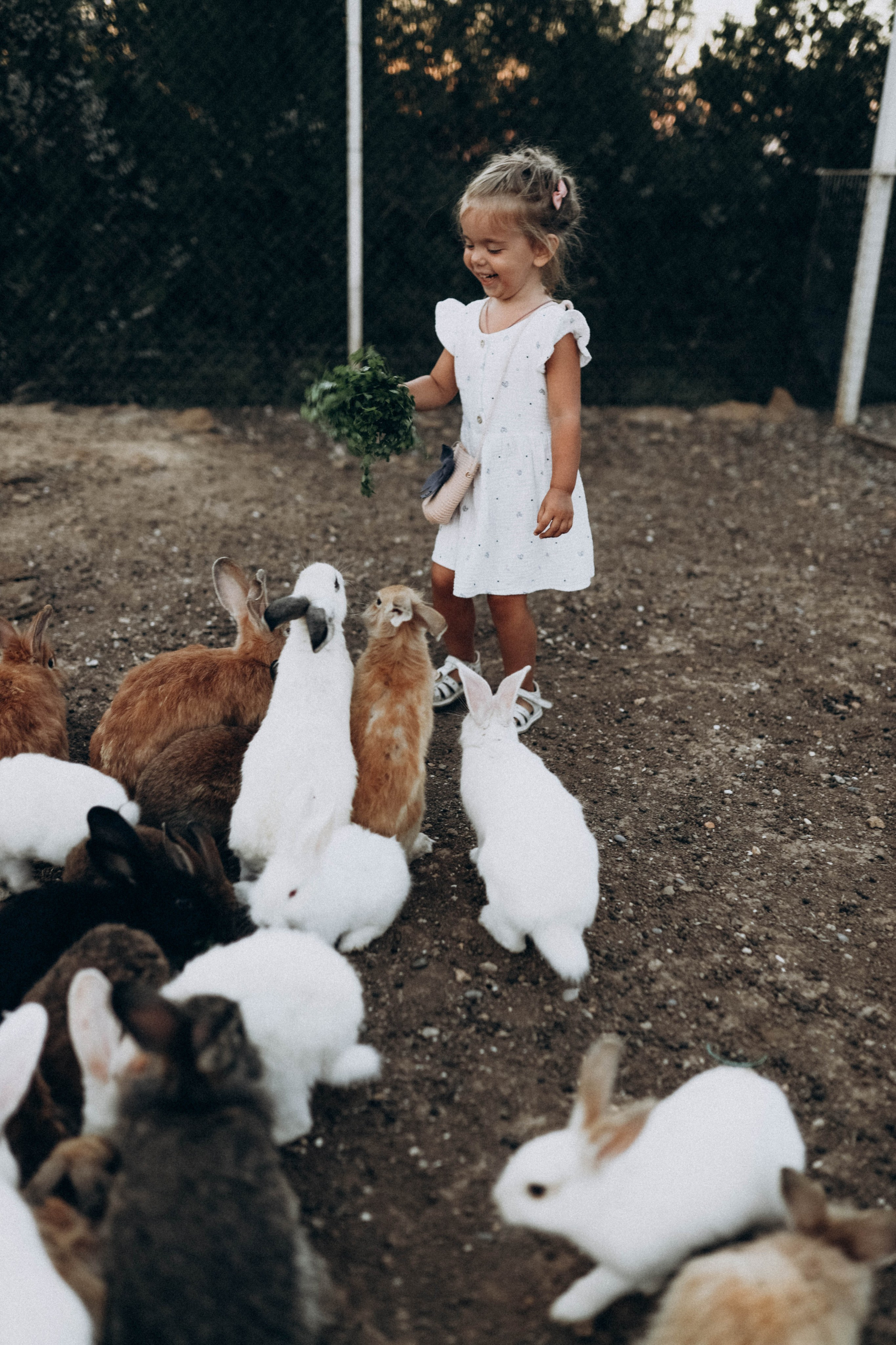 Кроликпарк 🐇. Индивидуальные и семейные съемки в Евпатории, Крыму Немировченко Анна