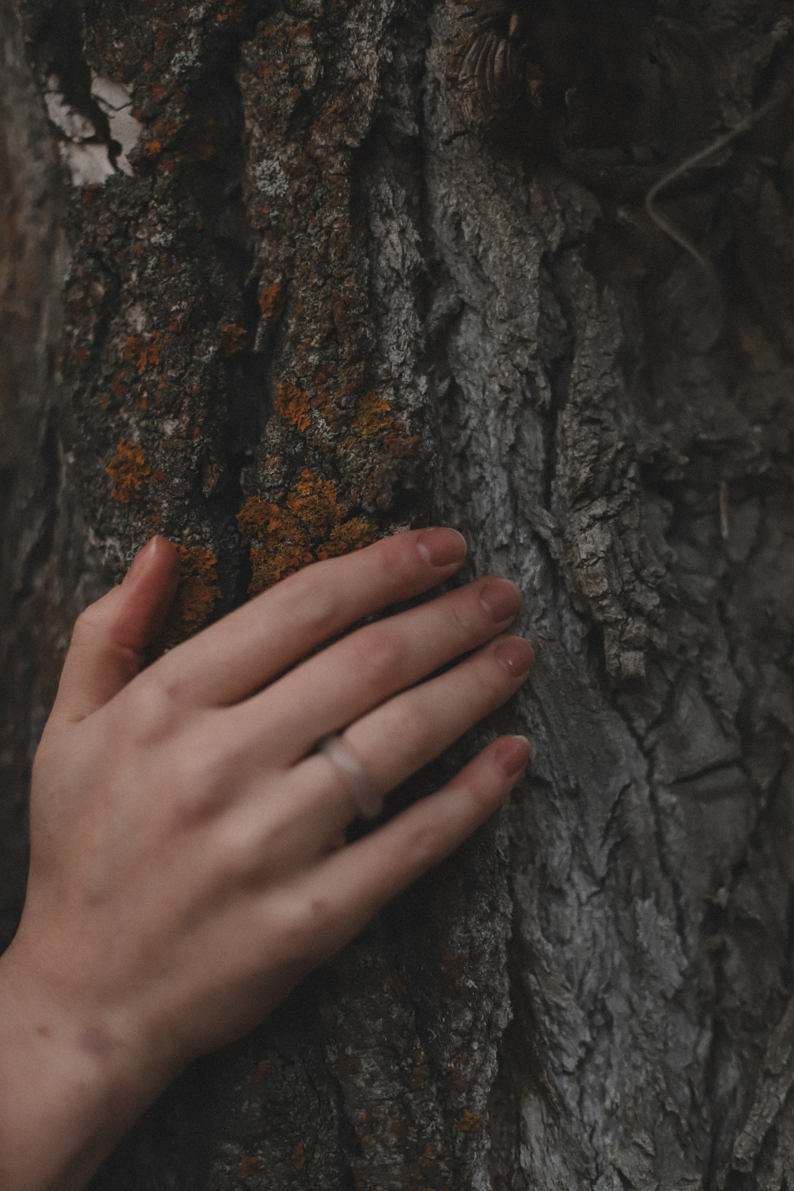 Зина. Фотограф в Нижнем Новгороде Кристина Батанова