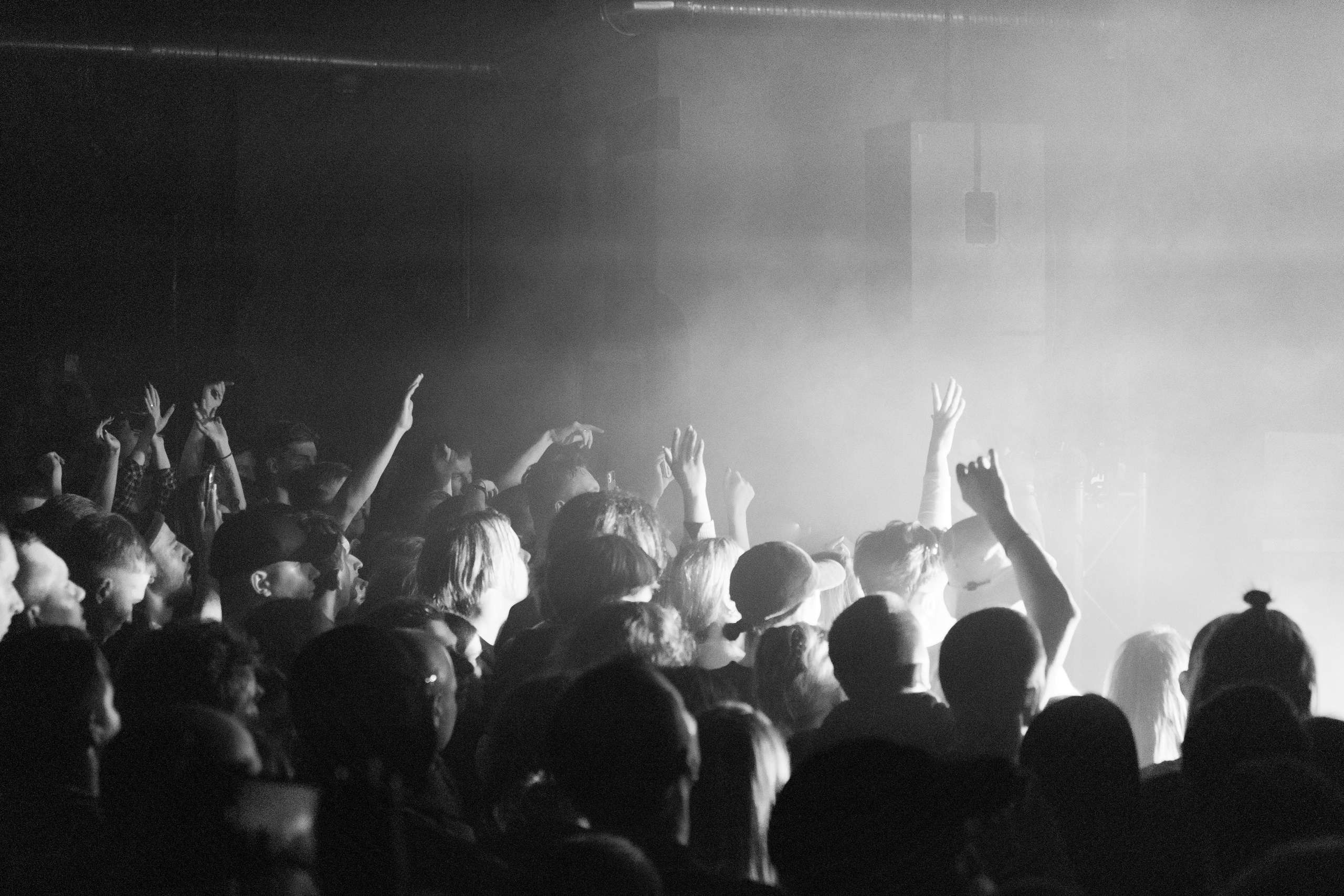 Хаски — Смоленск 23.05.2025. KiPPER Gallery — Фотограф