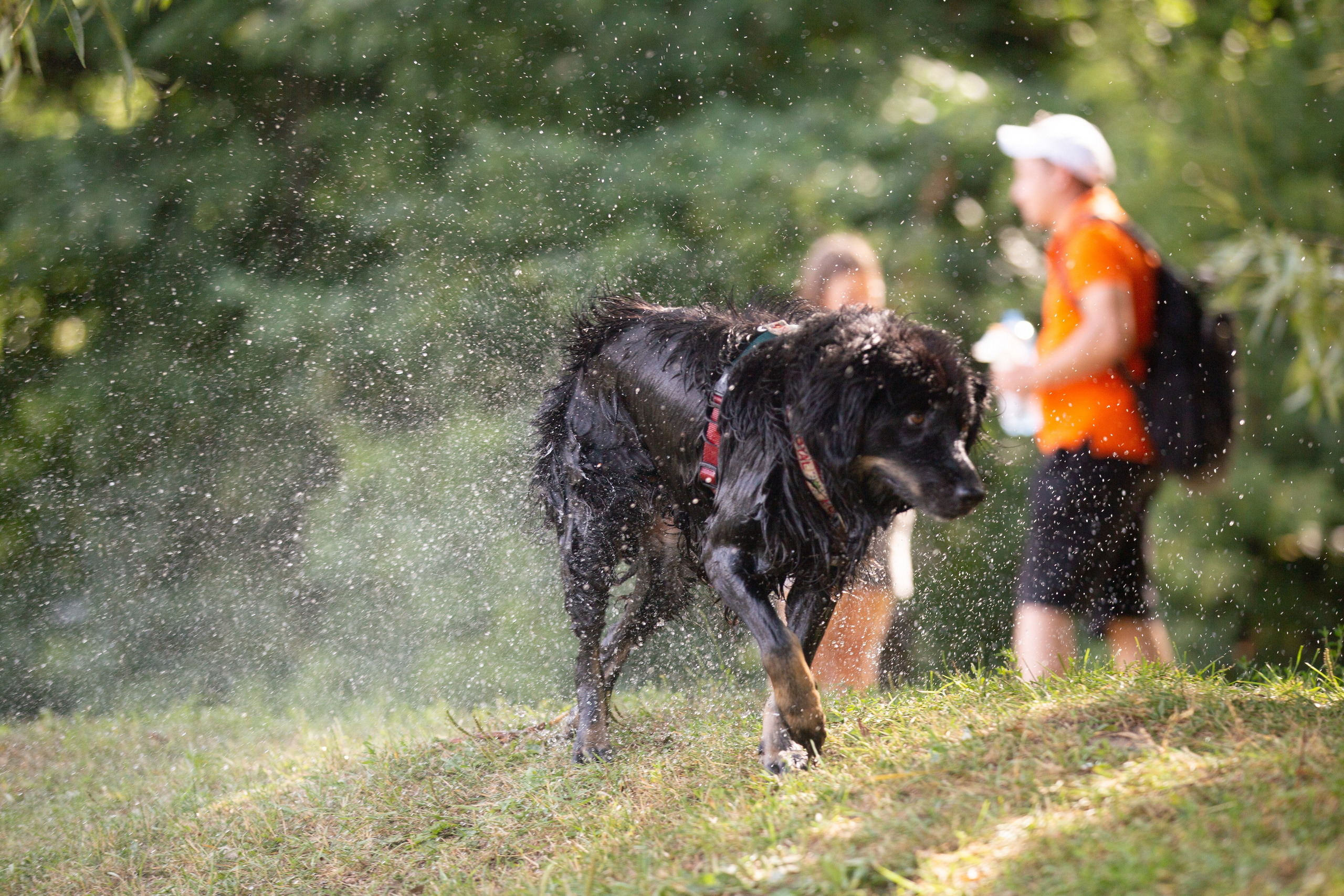 Petshop Sup day. Фотограф анималист Кристина Карпова, Москва