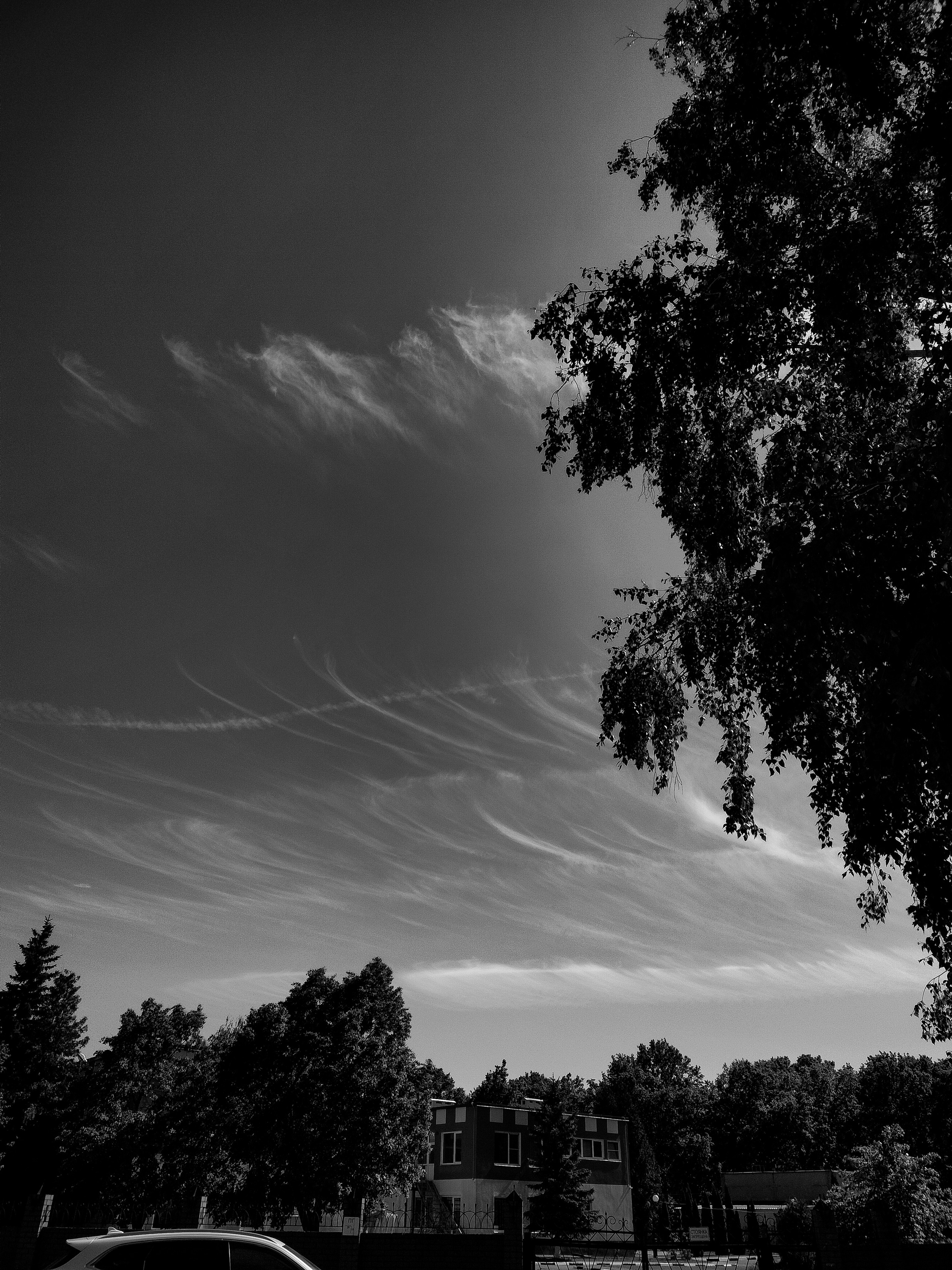 Небо. Фотограф Старый Оскол Мавлыга Мария