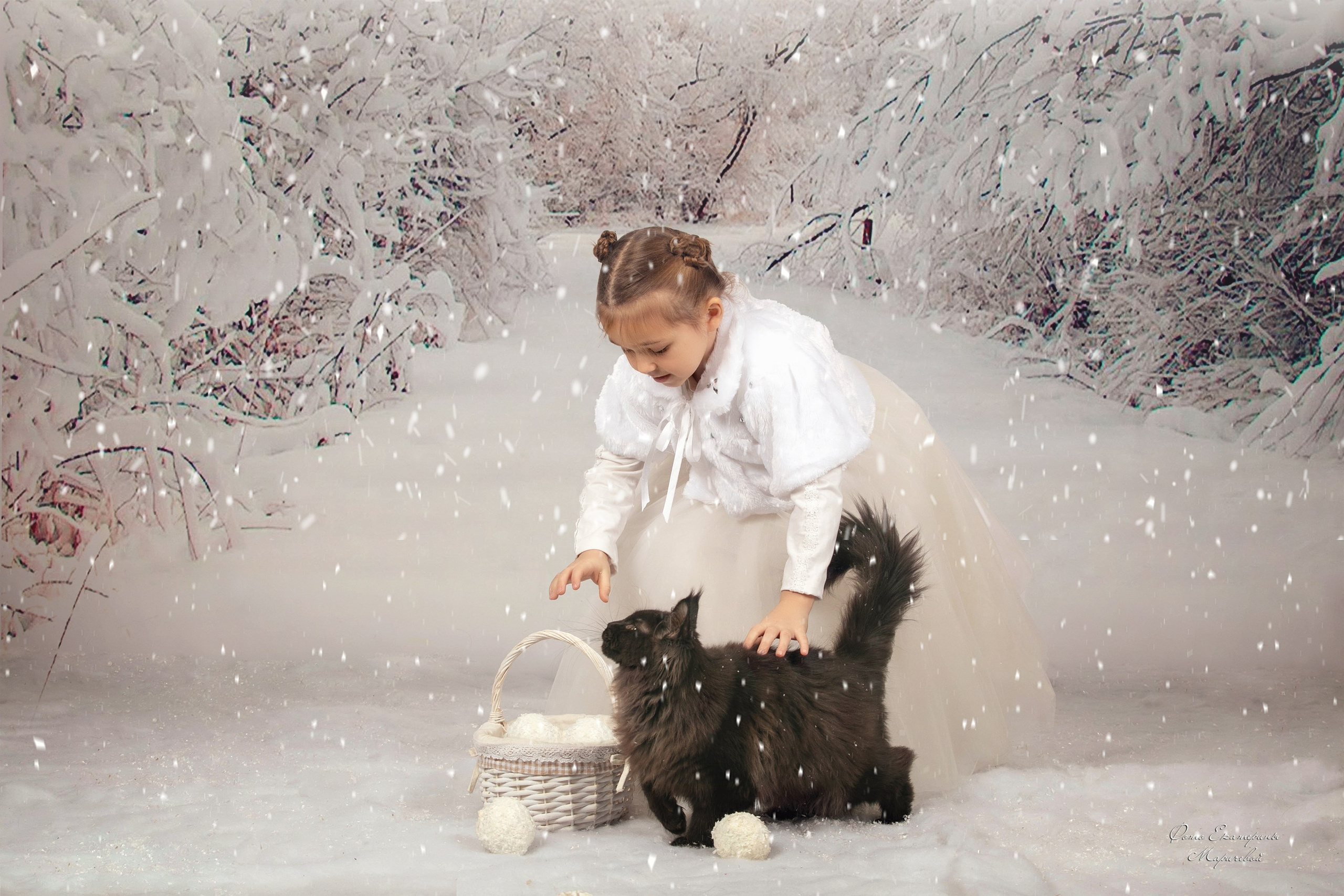 Тематические фоны с рисунком. Фотограф-анималист в Омске Екатерина Маричева