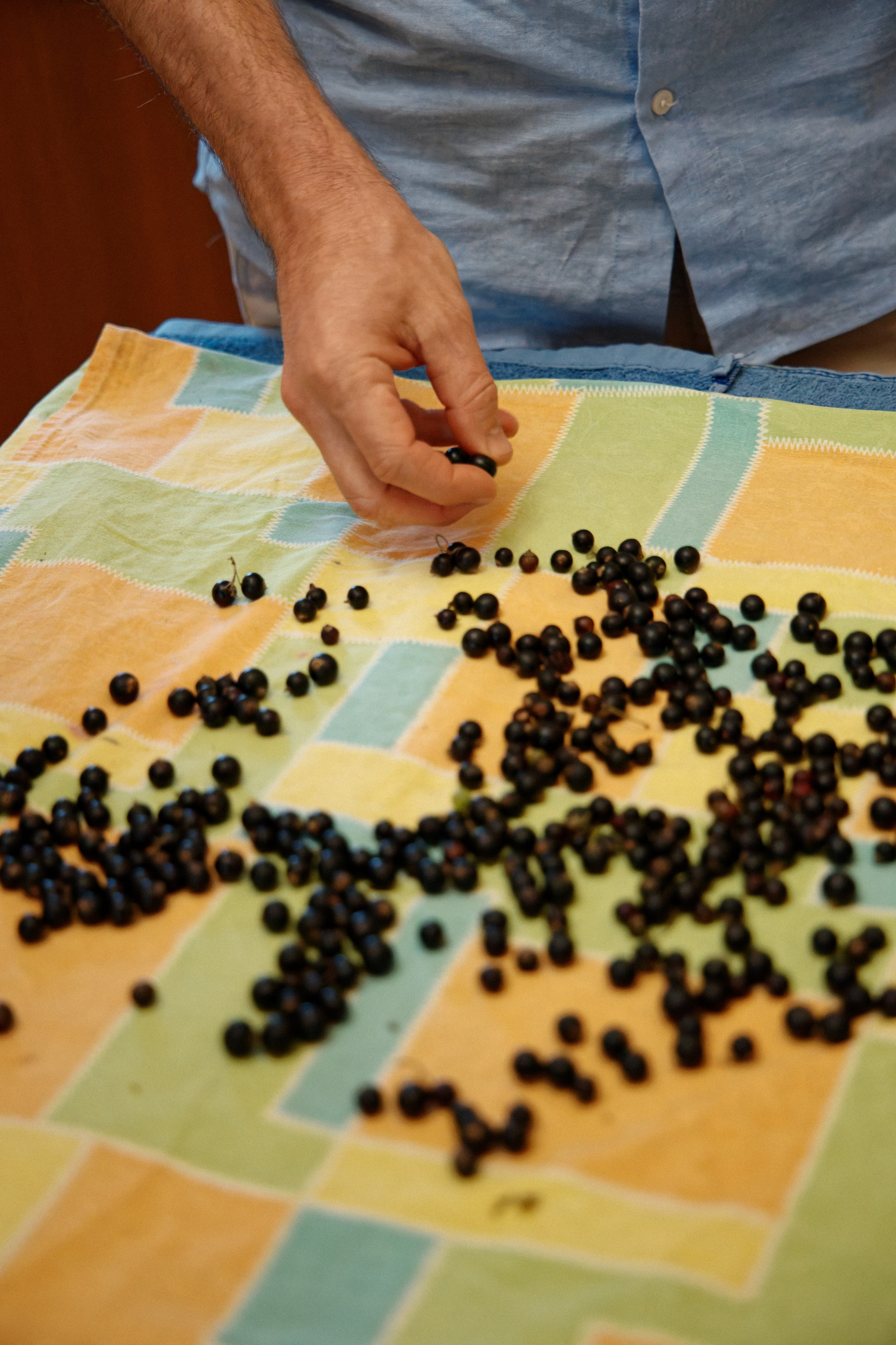 Семья Даниловых. Семейный фотограф — Макс Белогрудов