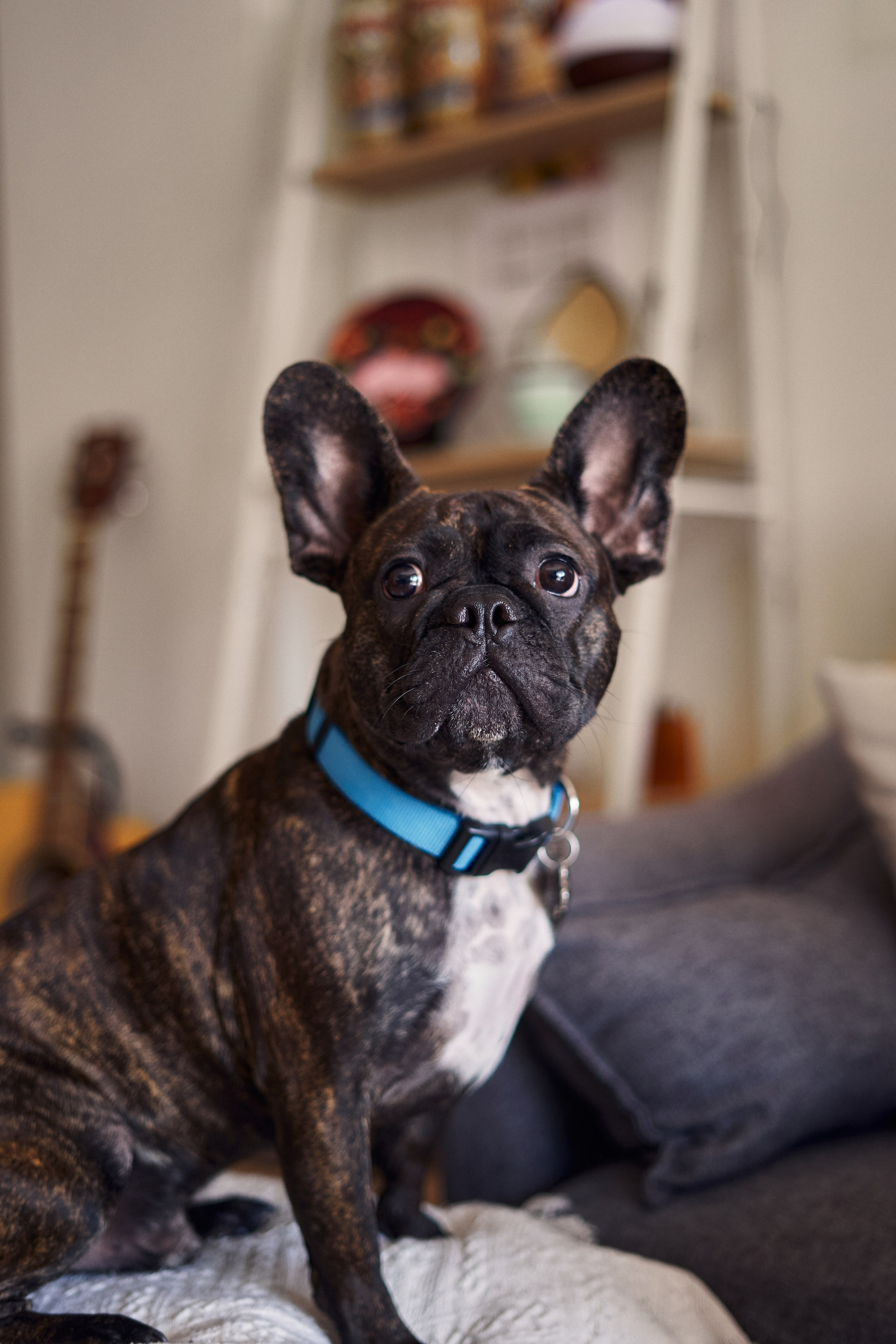 Kate and Aaron. Репортажный и свадебный фотограф Роман Яшкильдин