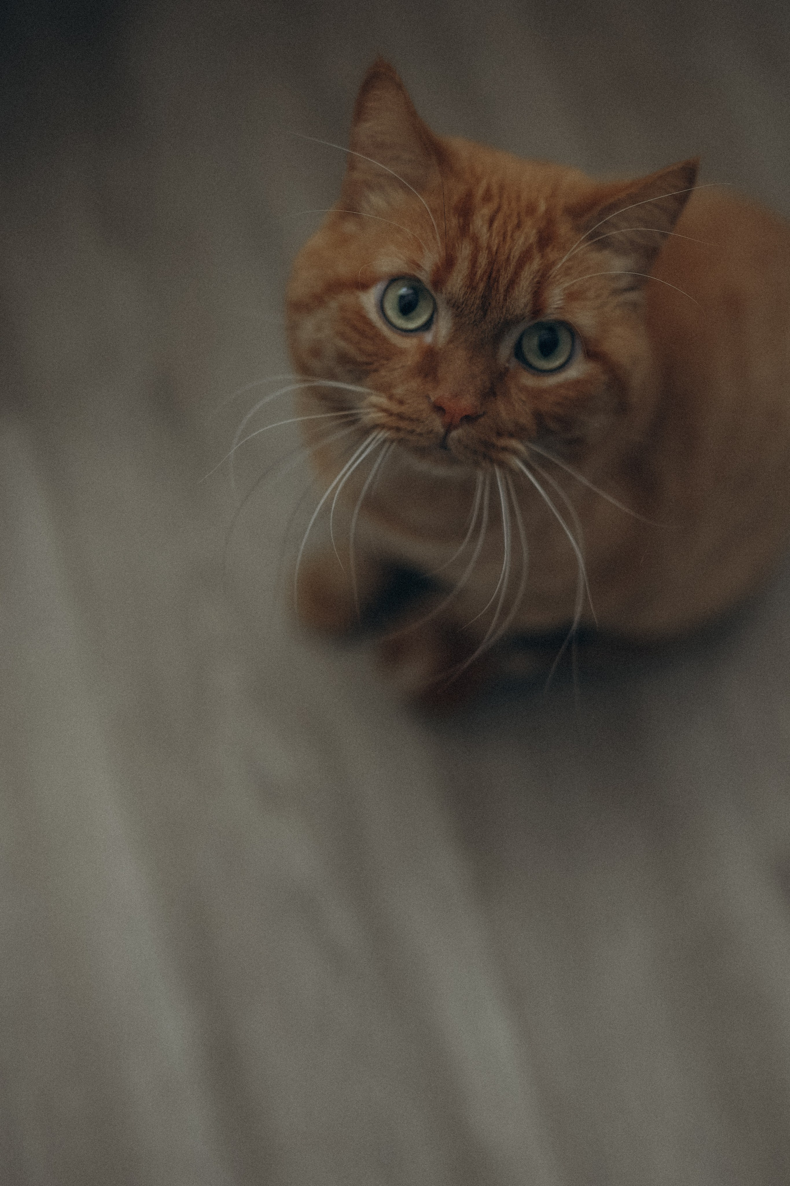 Про любовь. Семейный и портретный фотограф из Казани